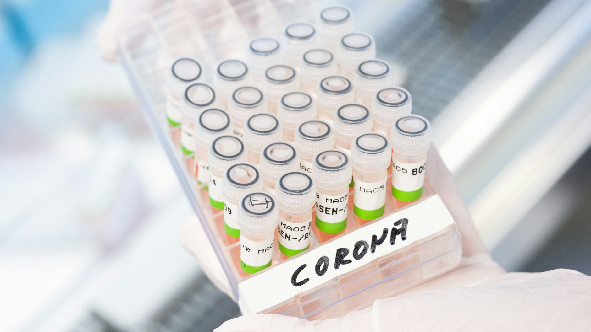 Eine biologisch-technische Assistentin zeigt aufbereitete PCR-Tests auf das Coronavirus von Patienten im PCR-Labor vom Niedersächsischen Landesgesundheitsamt.