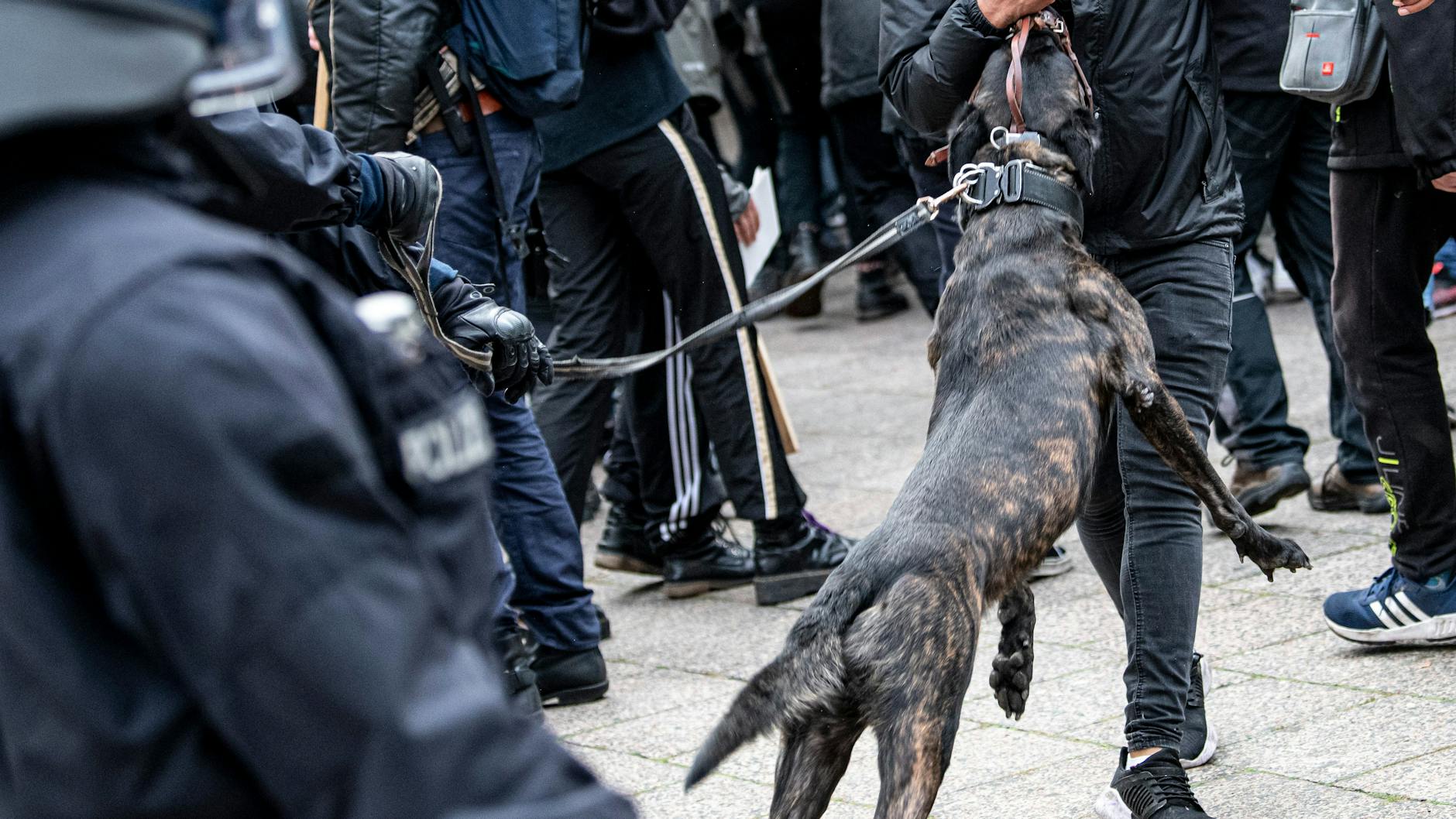 Hin und Her: Die Schutzhunde dürfen nun wieder eingesetzt werden.