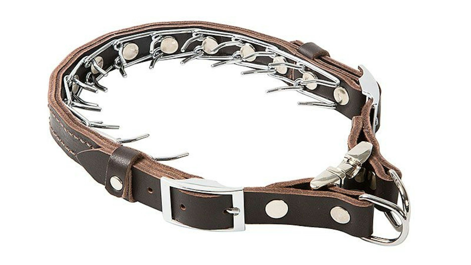 Ein Stachelhalsband: Diese dürfen nach der neuen Tierschutz-Hundeverordnung&nbsp; nicht mehr bei der Ausbildung und dem Training&nbsp; der Tiere verwendet werden.