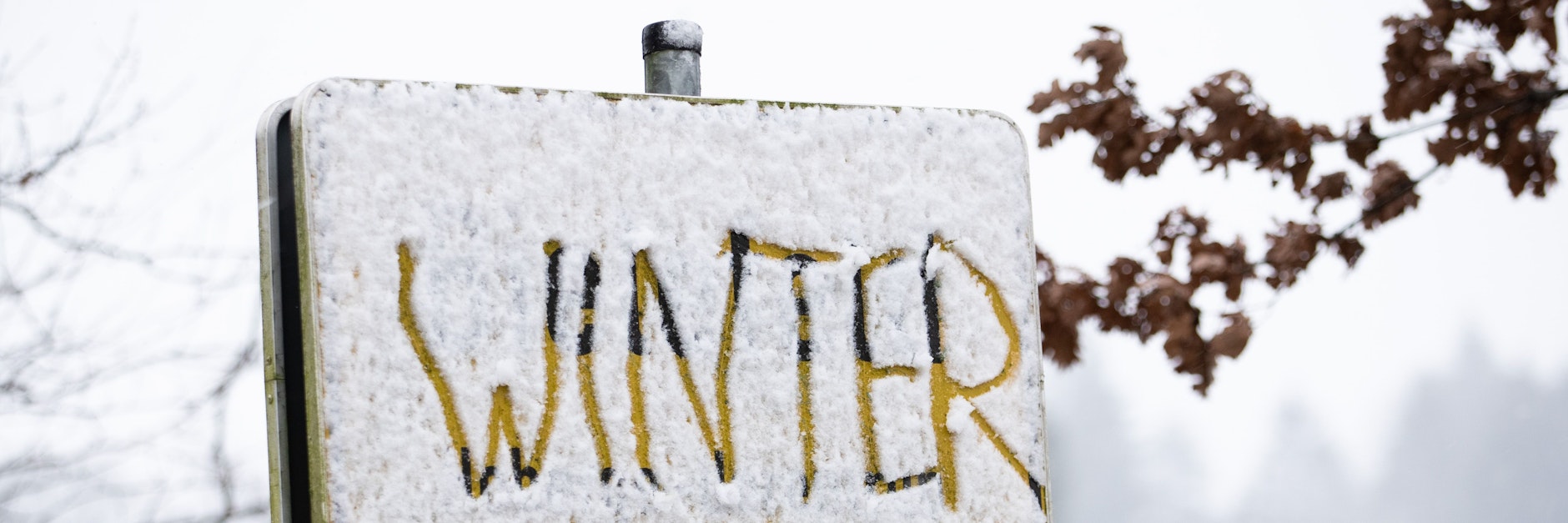 Der Winter macht sich weiter rar. Es bleibt in unseren Breiten auch am Wochenende wohl eher nasskalt.