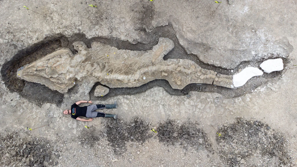 Ichthyosaurier an Englands Küste entdeckt – Schädel wiegt eine Tonne