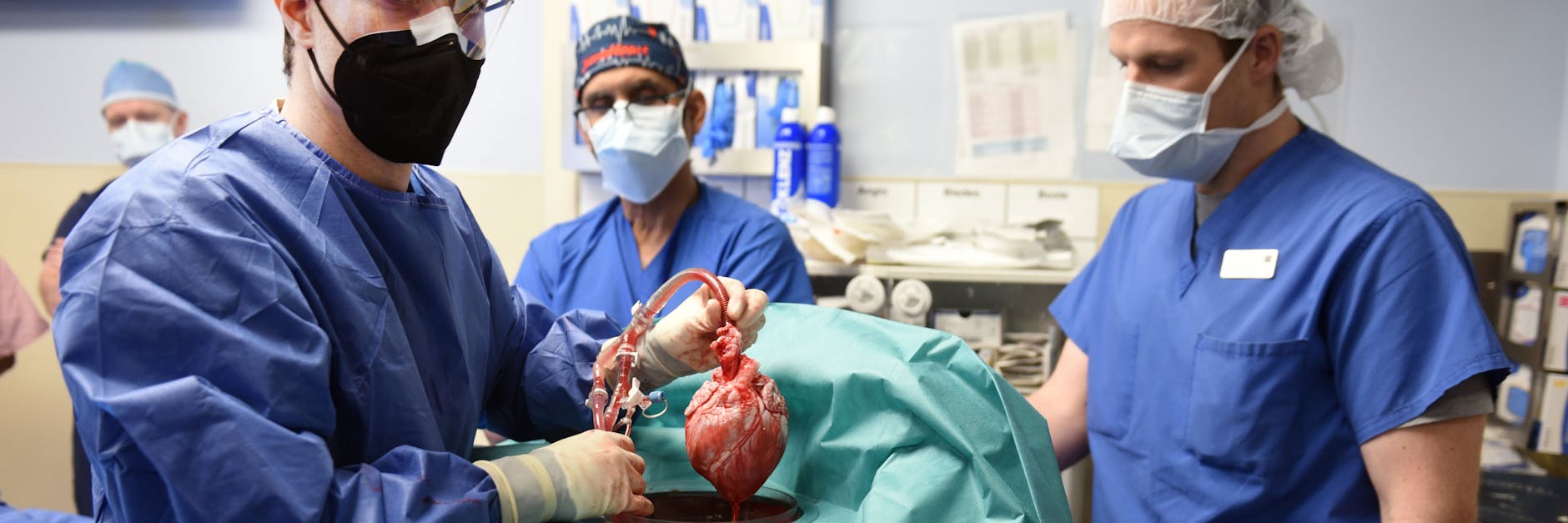 Die Operation, bei der einem Mann ein Schweineherz transplantiert wurde, dauerte mehr als sieben Stunden.