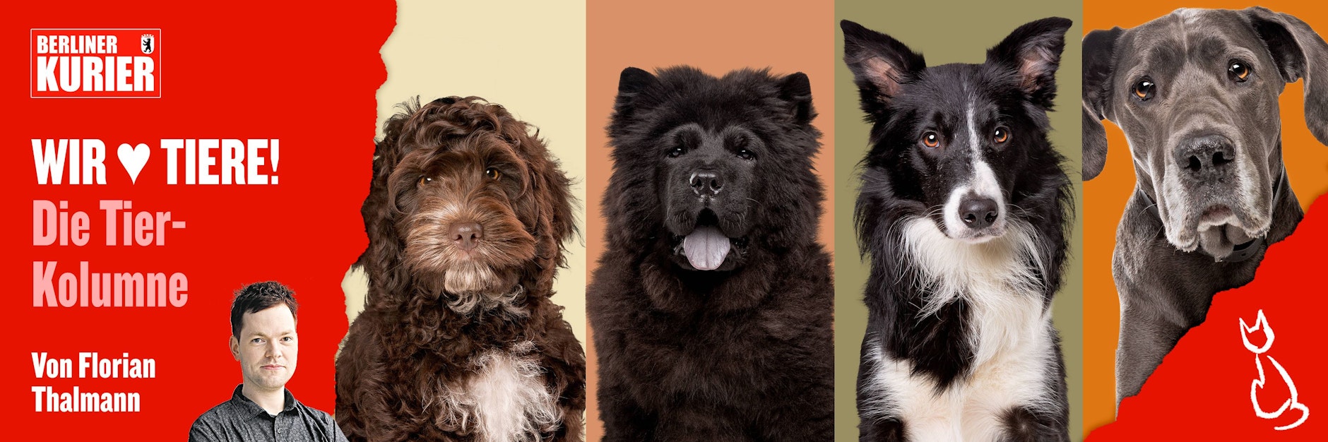 Welcher ist der richtige Name für Hund oder Katze? An dieser Frage scheiden sich die Geister.