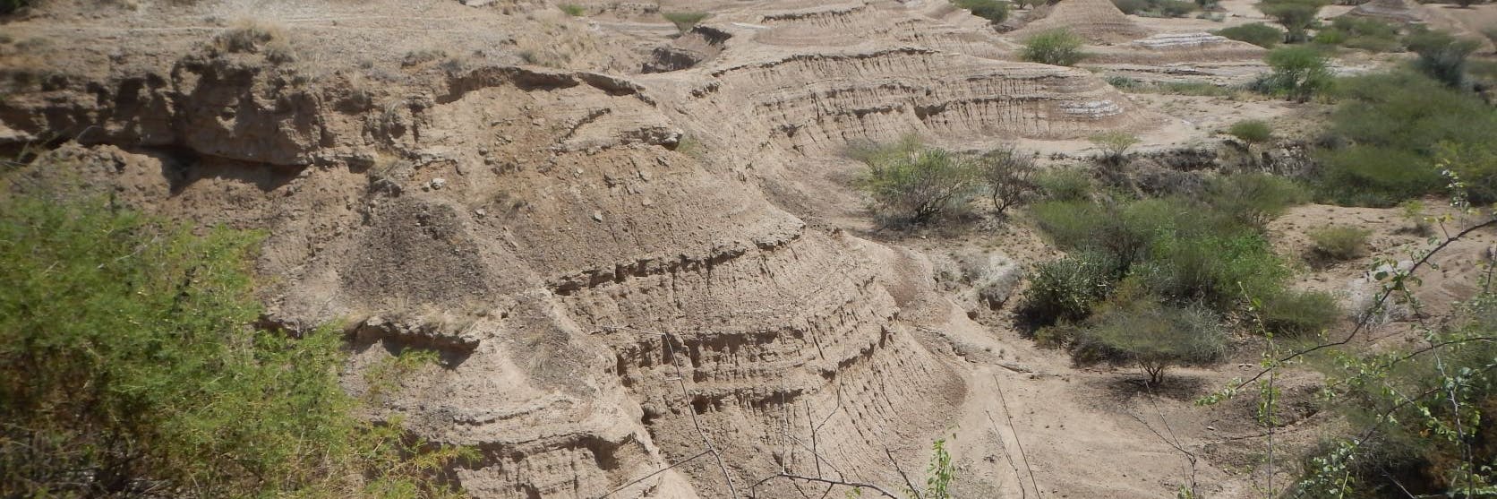 Die Überreste des Kibish Omo I. getauften Homo sapiens wurden 1967 in Äthiopien gefunden.