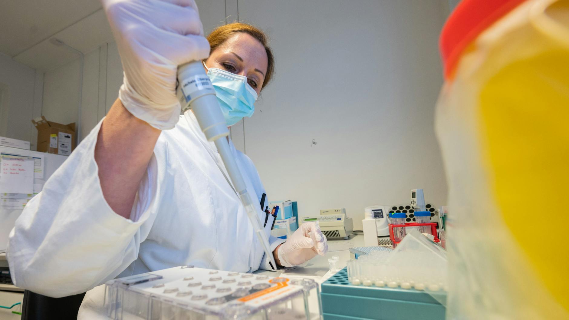 Im Labor wird ein PCR-Test ausgewertet (Symbolbild).