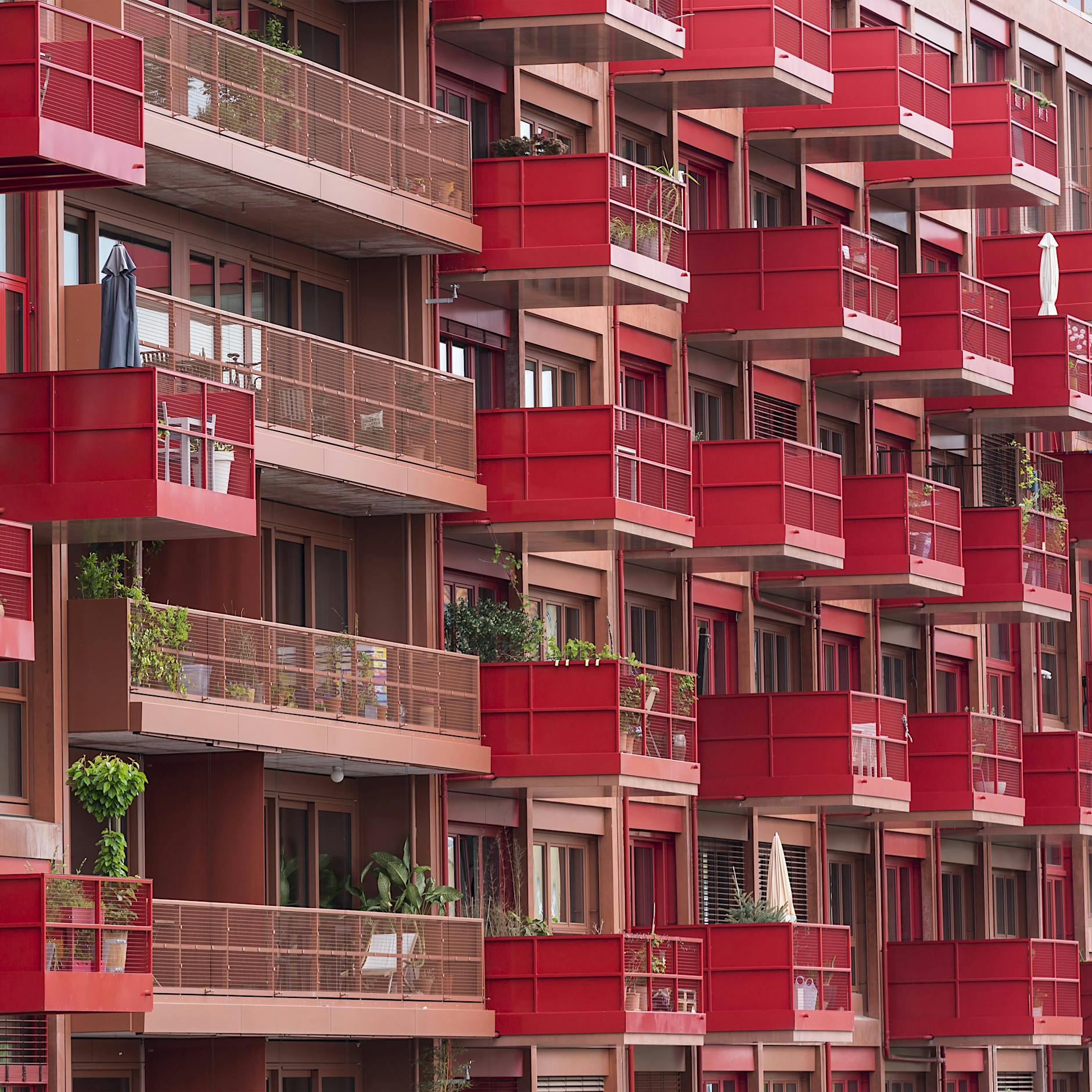 Petra Kahlfeldt: Eine Personalie mit Sprengkraft