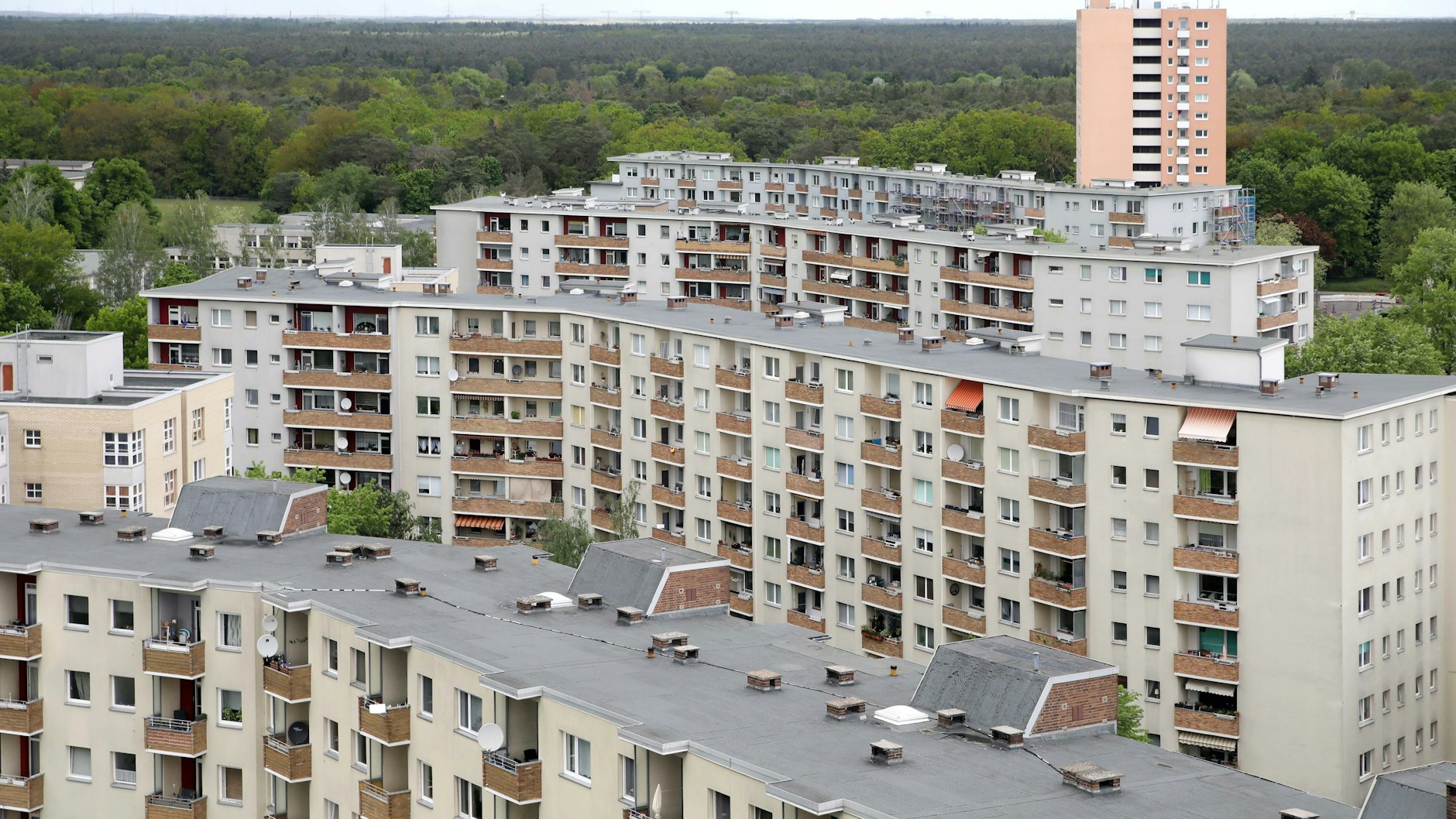 Die schreckliche Tat ereignete sich im Berliner Ortsteil Falkenhagener Feld.