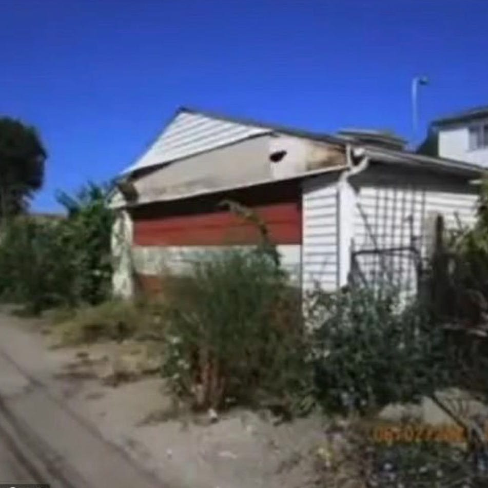 Der verwilderte Vorgarten des krebskranken Angeklagten.