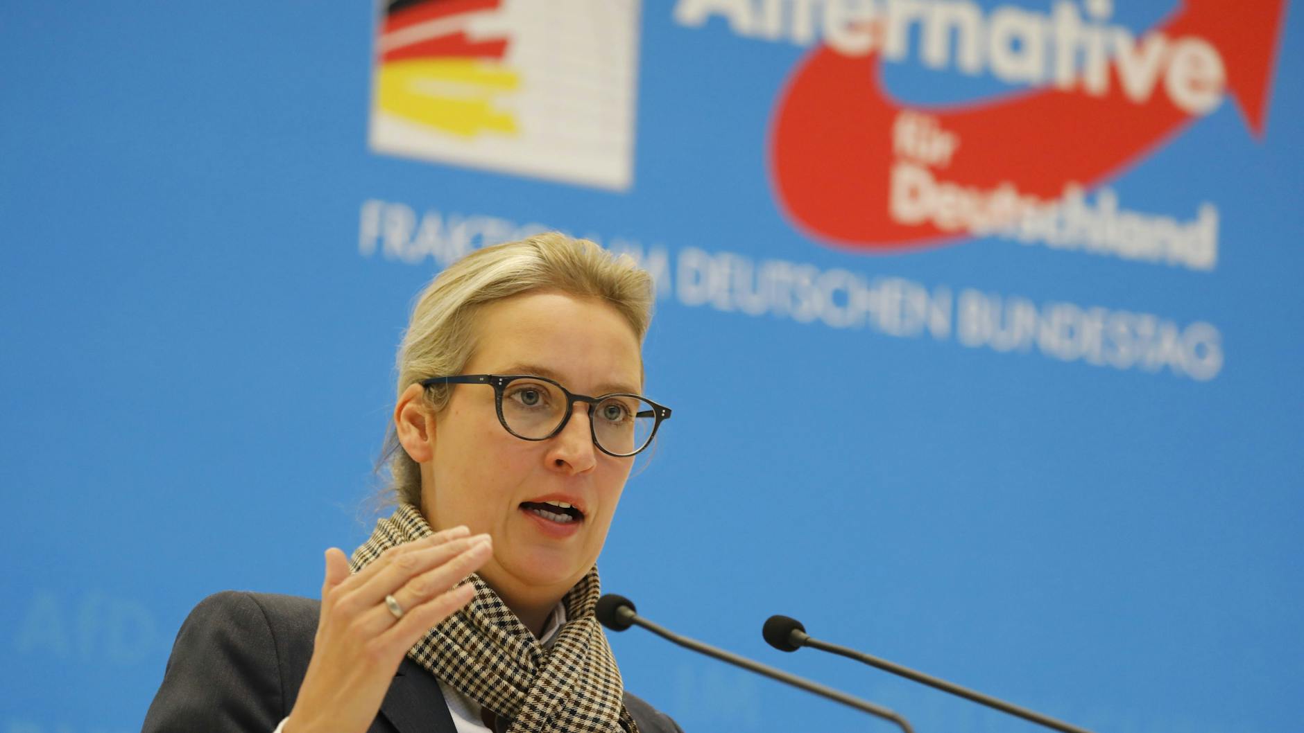 AfD-Fraktionschefin Alice Weidel