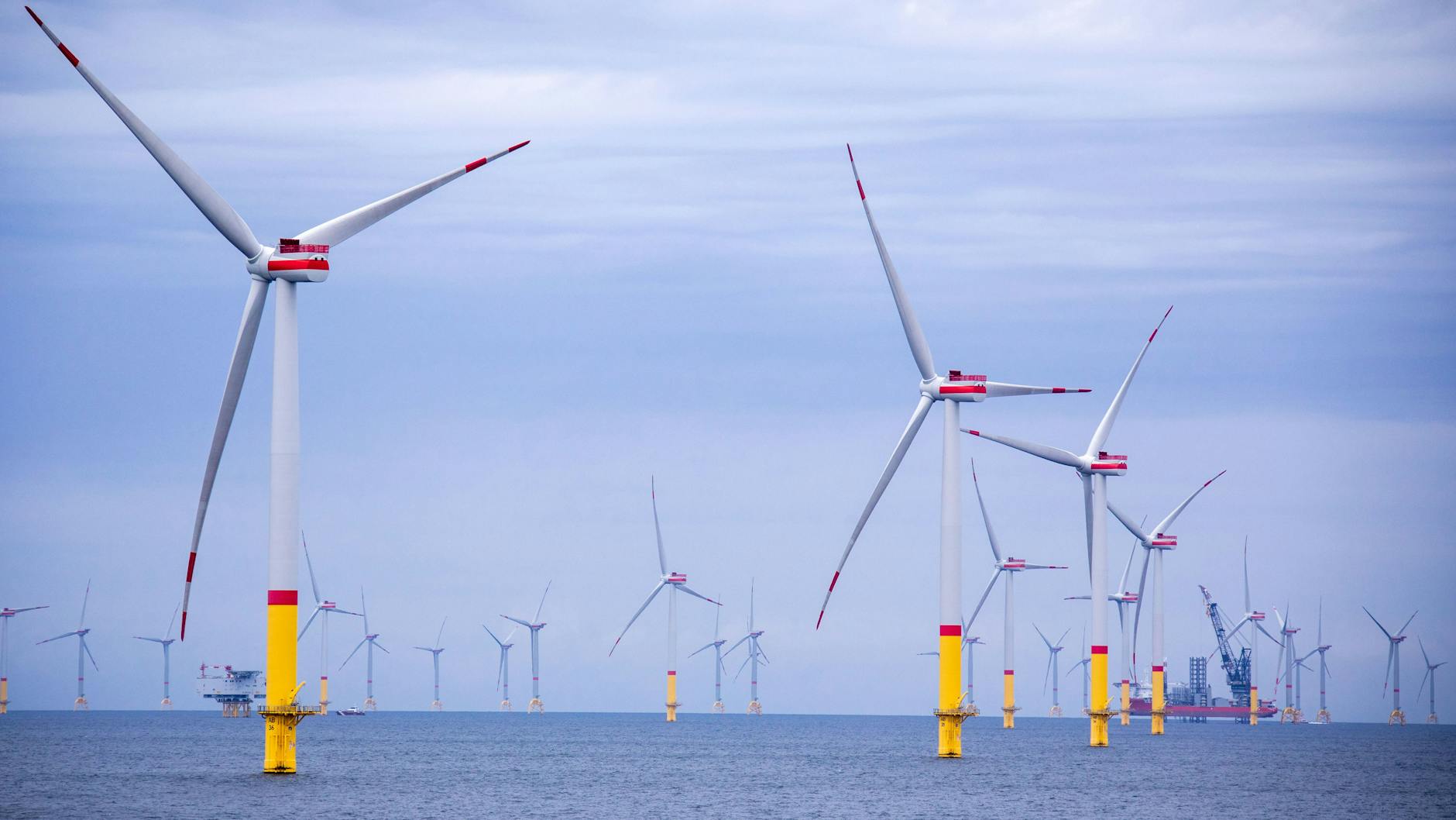 Windräder in der Ostsee zwischen den Inseln Rügen und Bornholm. Offshore-Windparks gefährden die Meeresnatur. 