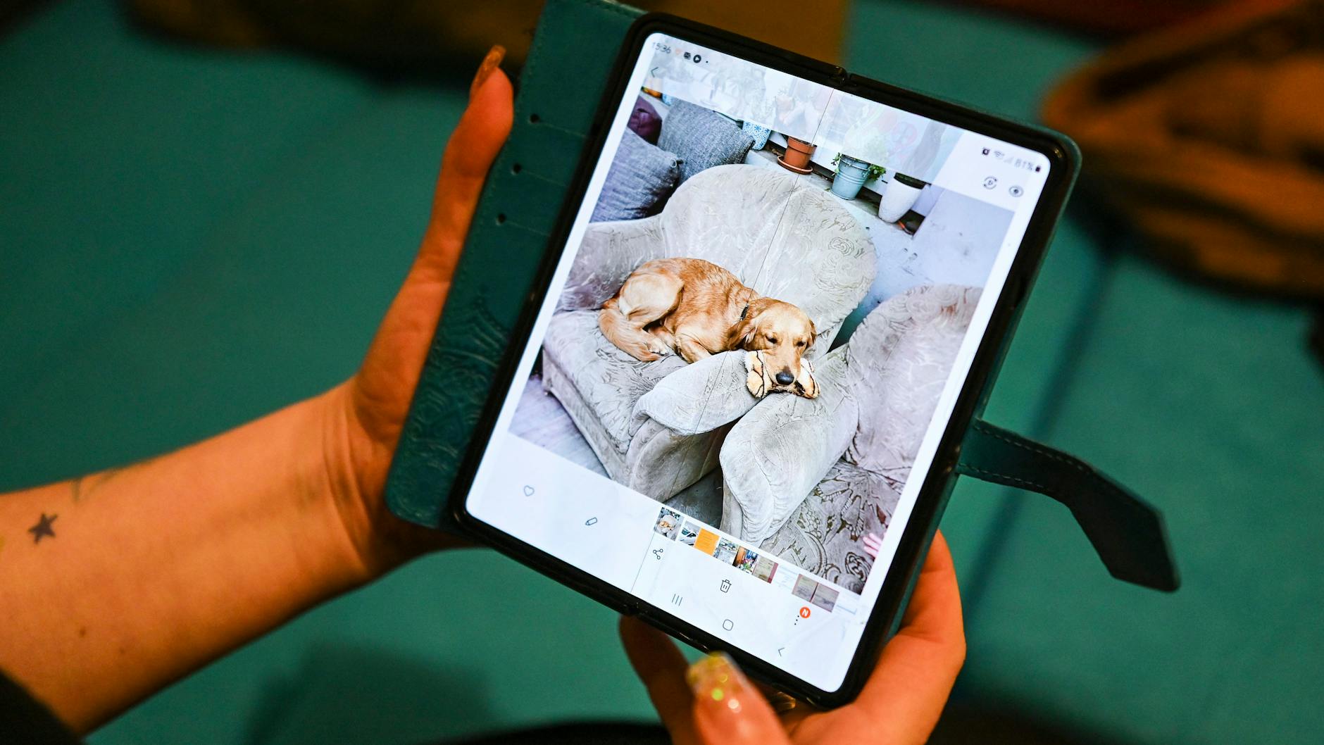 Hündin Ginger könnte Cyrus vielleicht bald durchs Leben begleiten.