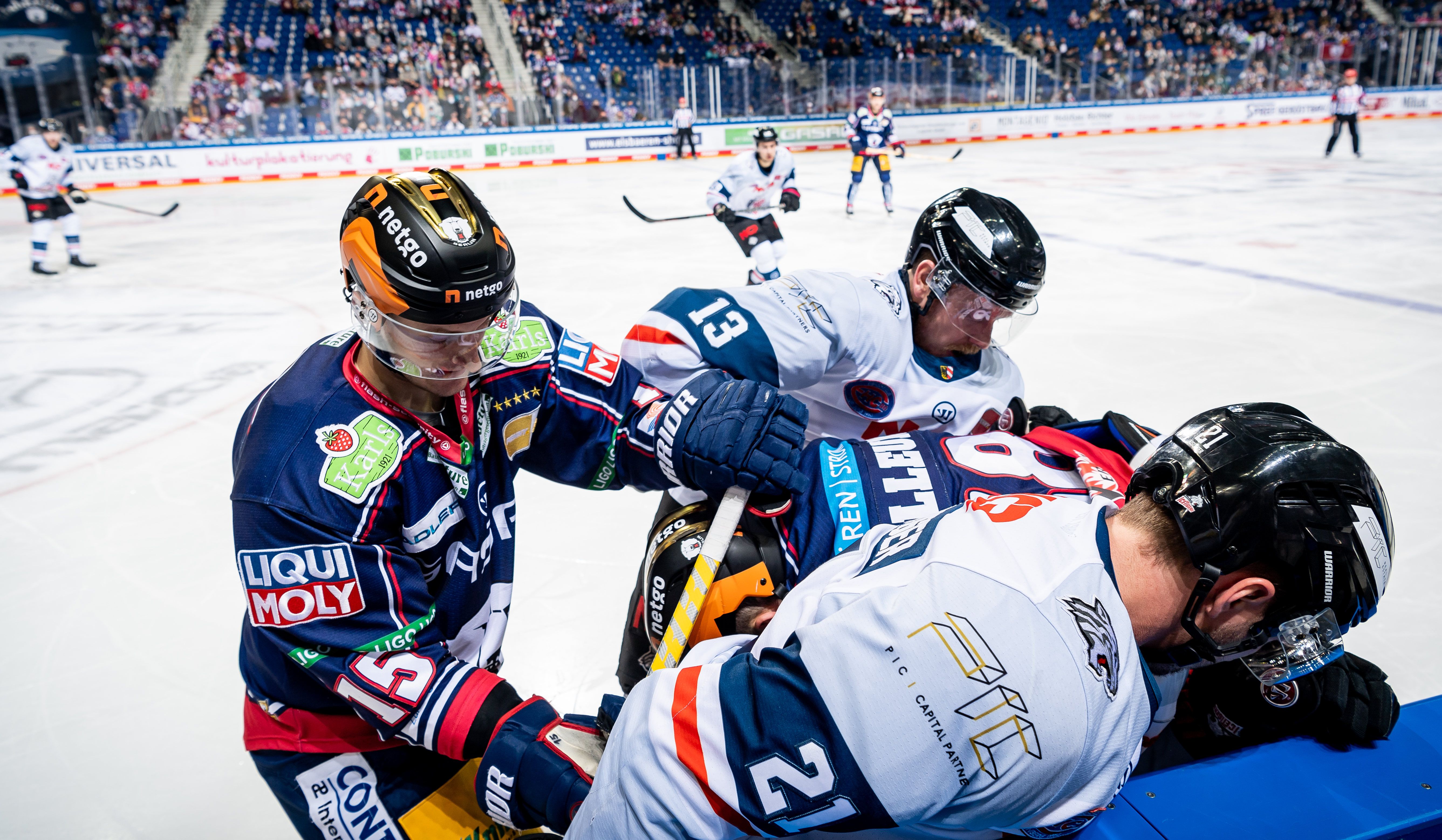 Image - Vier Stars sind zurück! Eisbären mit voller Kapelle zum Top-Hit nach Ingolstadt