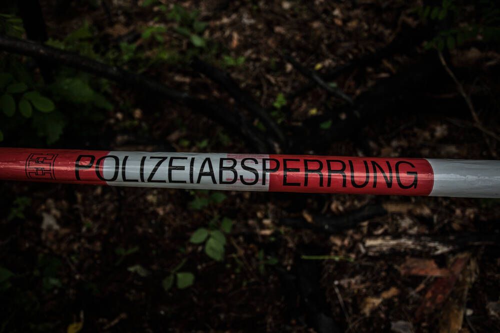 Image - Gruselfund in Bayern: Hund führt Spaziergänger zu skelettierter Frauenleiche