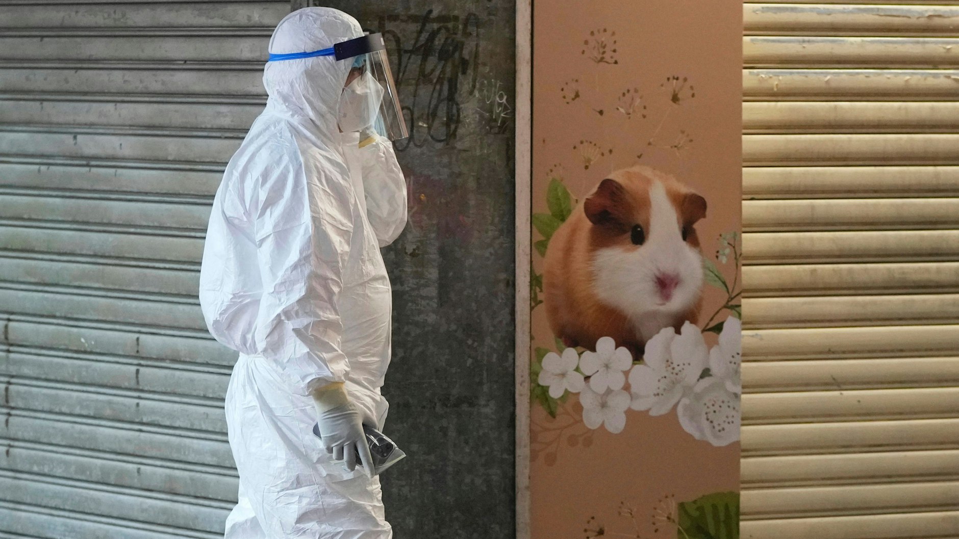 Ein Mitarbeiter des Ministeriums für Landwirtschaft, Fischerei und Naturschutz geht an einer Tierhandlung in Hongkong vorbei, die geschlossen wurde, nachdem einige Hamster positiv auf das Coronavirus getestet worden waren.