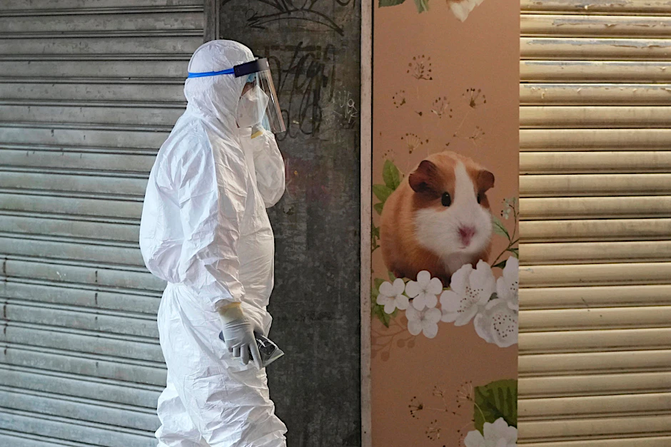 Hongkong: Ein Mitarbeiter des Ministeriums für Landwirtschaft, Fischerei und Naturschutz geht an einer Tierhandlung vorbei, die geschlossen wurde, nachdem einige Hamster positiv auf das Coronavirus getestet worden waren.