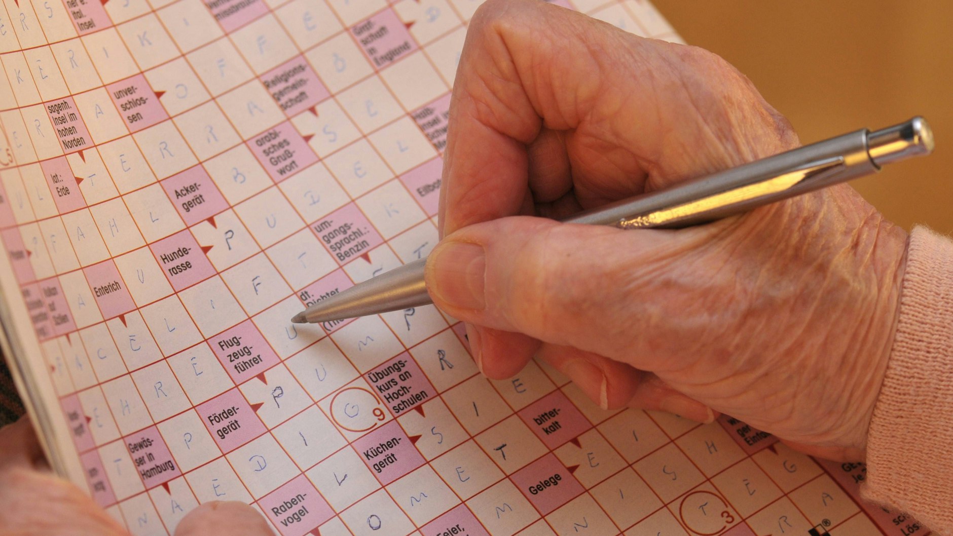 Das Lösen von Kreuzworträtseln hält den Kopf fit.