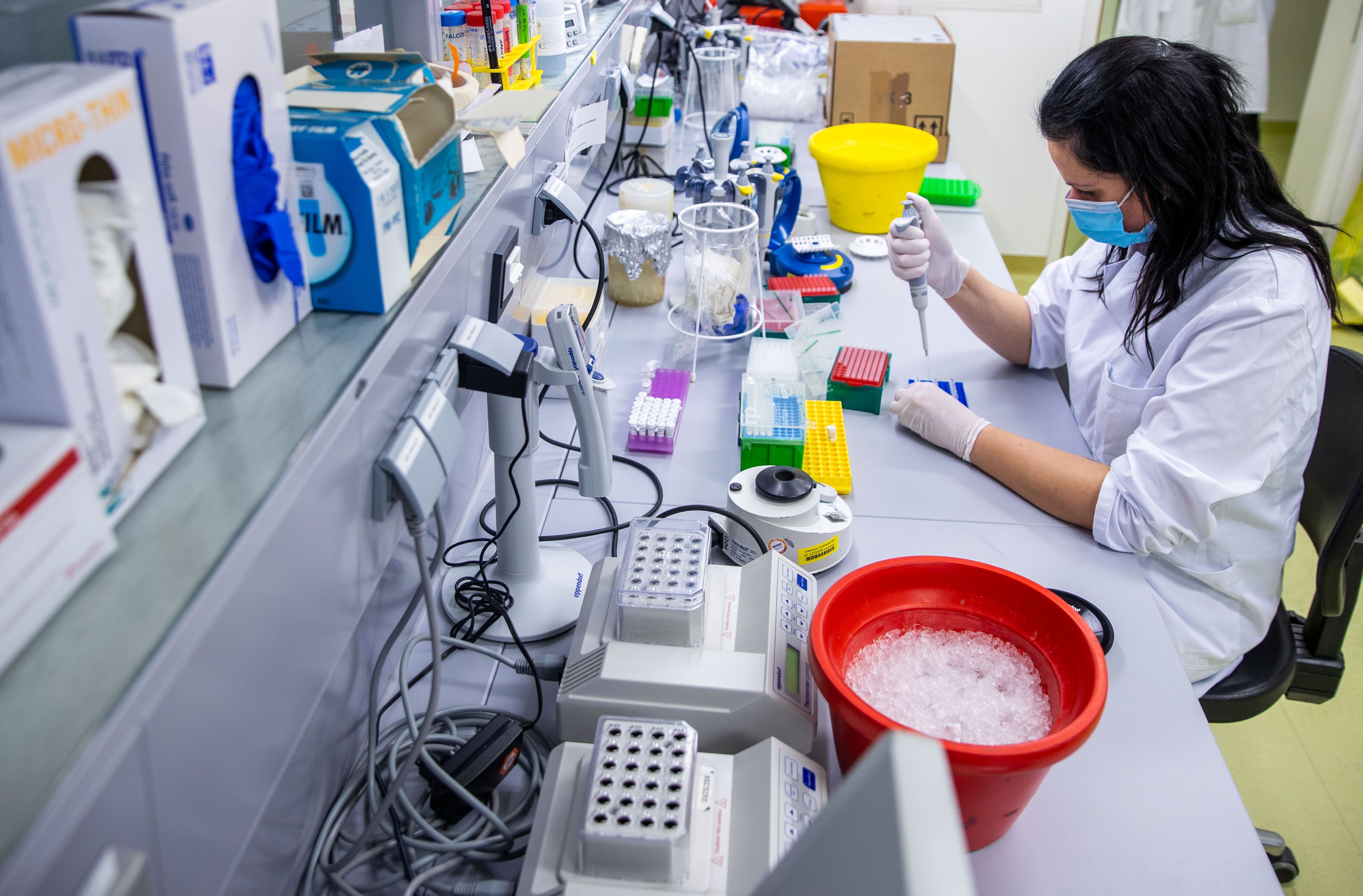 Corona: Omikron-Walze macht die PCR-Labore platt