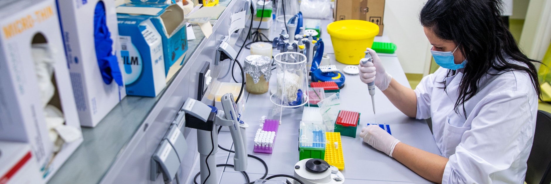 Claudia Wiede bereitet im Labor der Uni Greifswald positive Proben für die Untersuchung vor, welche Corona-Variante die Ursache ist. Meist Omikro&nbsp;