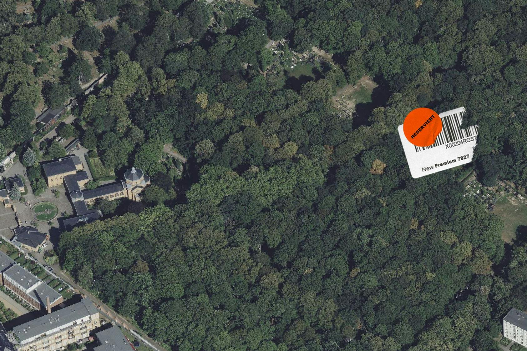 Der Friedhof in Weißensee gilt rein flächenmäßig als größter erhaltener jüdischer Friedhof Europas. In der NS-Zeit blieb er wundersamerweise unbeschadet.