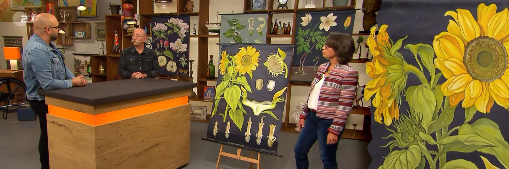 Lehrerin Luise Morschel (65) brachte mehrere alte Schul-Wandkarten ins „Bares für Rares“-Studio. Horst Lichter und Sven Deutschmanek riskierten einen prüfenden Blick.