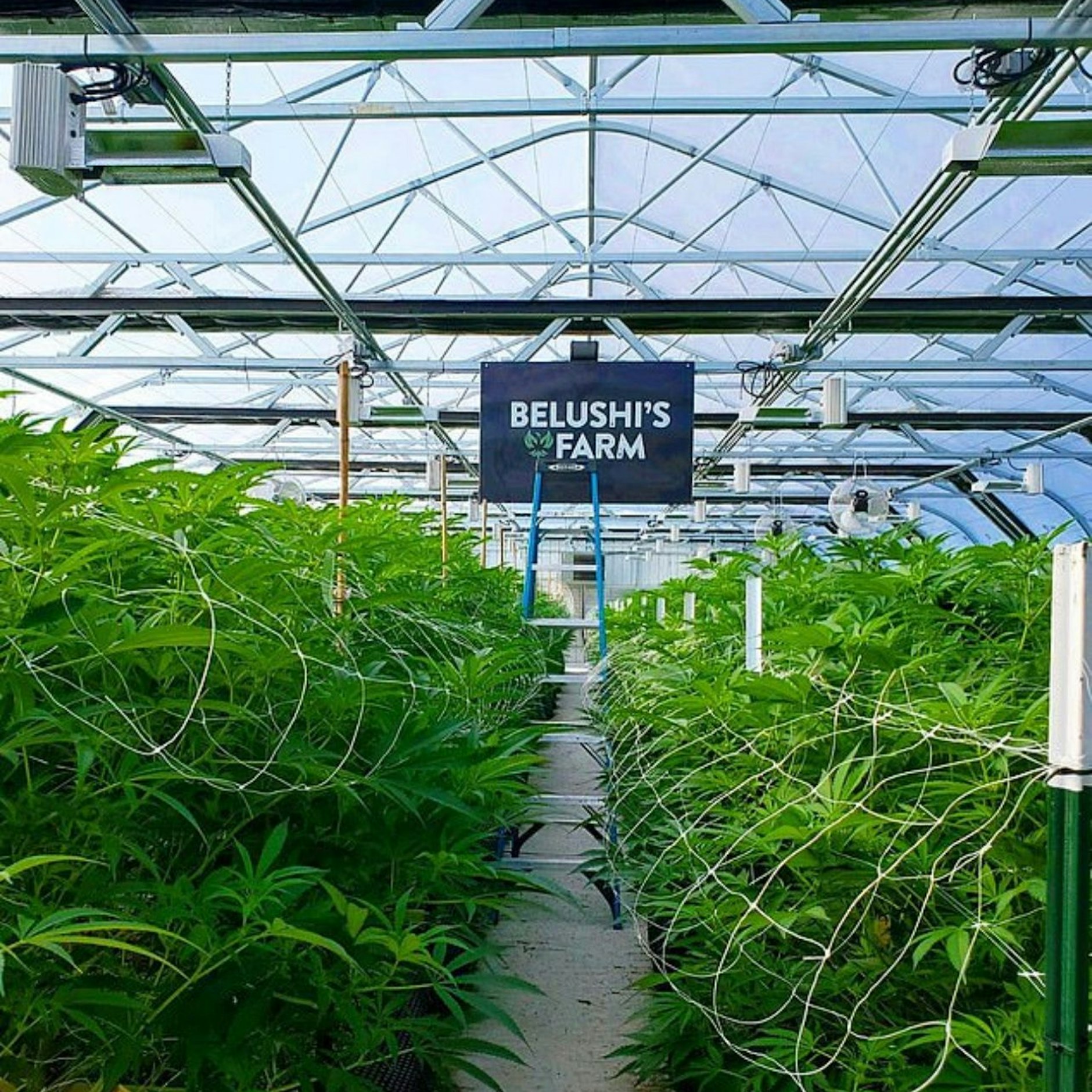 Der Schauspieler hatte 2015 in Oregon die Belushi's Farm eröffnet.