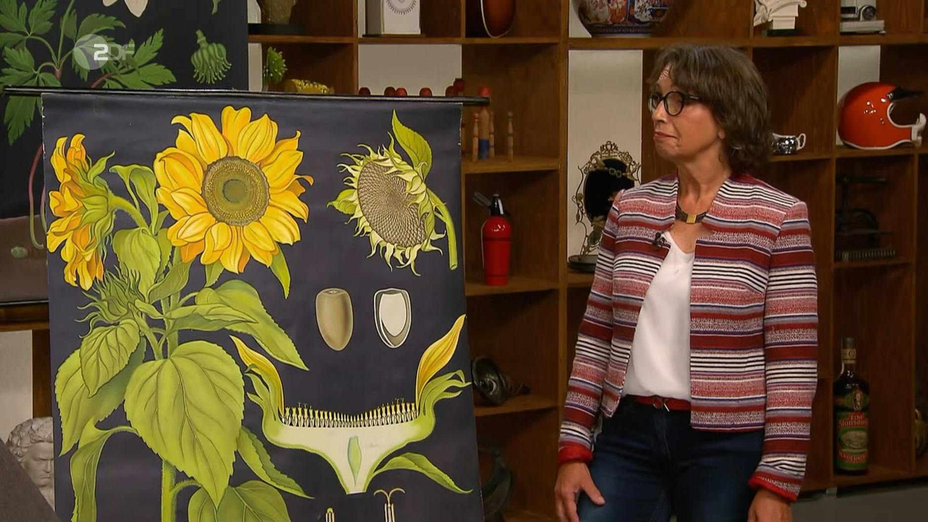 Luise Morschel arbeitete früher als Biologielehrerin, unterrichtete mit den Wandkarten. Nun wollte sie sie bei „Bares für Rares“ verkaufen.