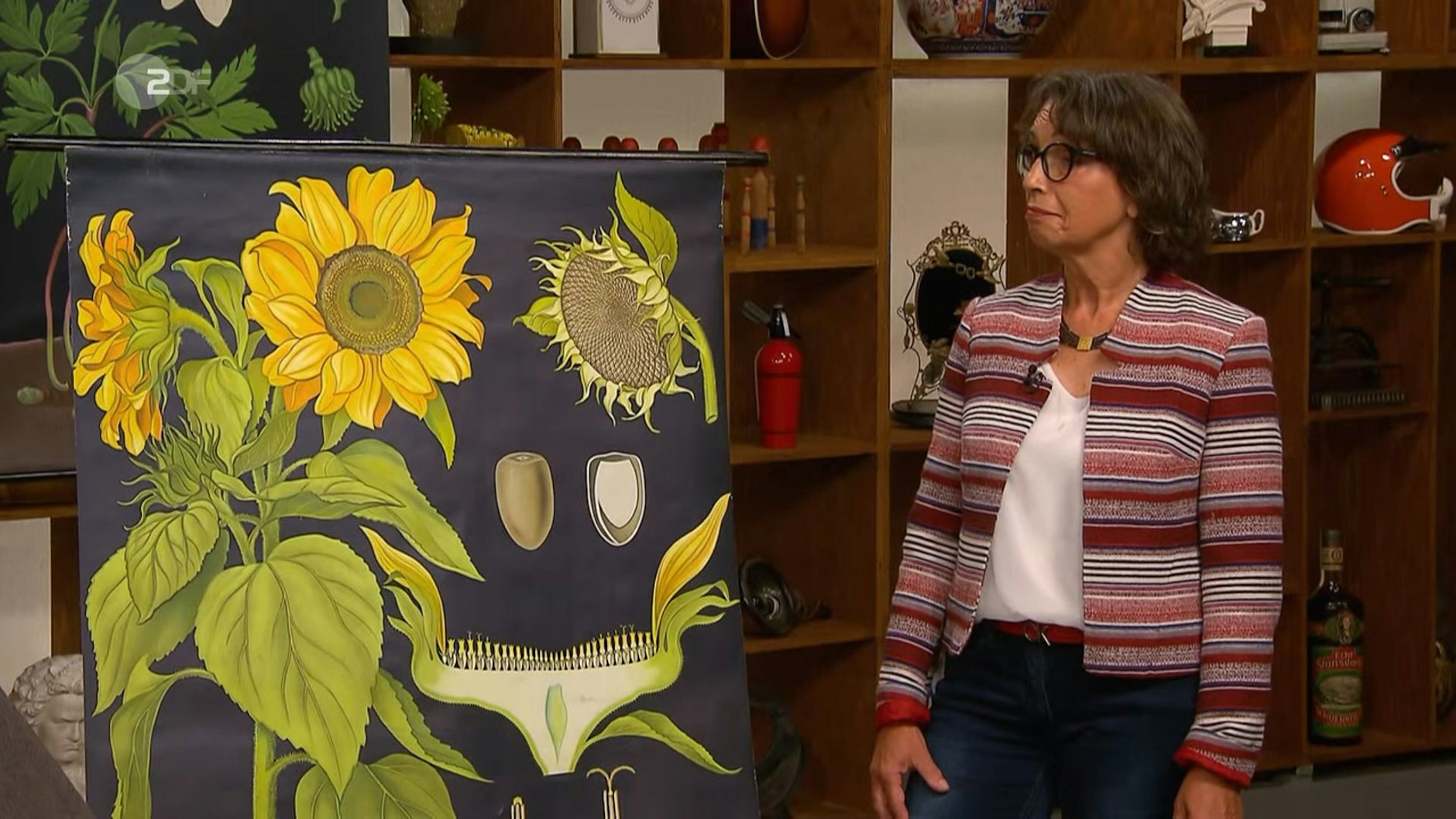 Luise Morschel arbeitete früher als Biologielehrerin, unterrichtete mit den Wandkarten. Nun wollte sie sie bei „Bares für Rares“ verkaufen.