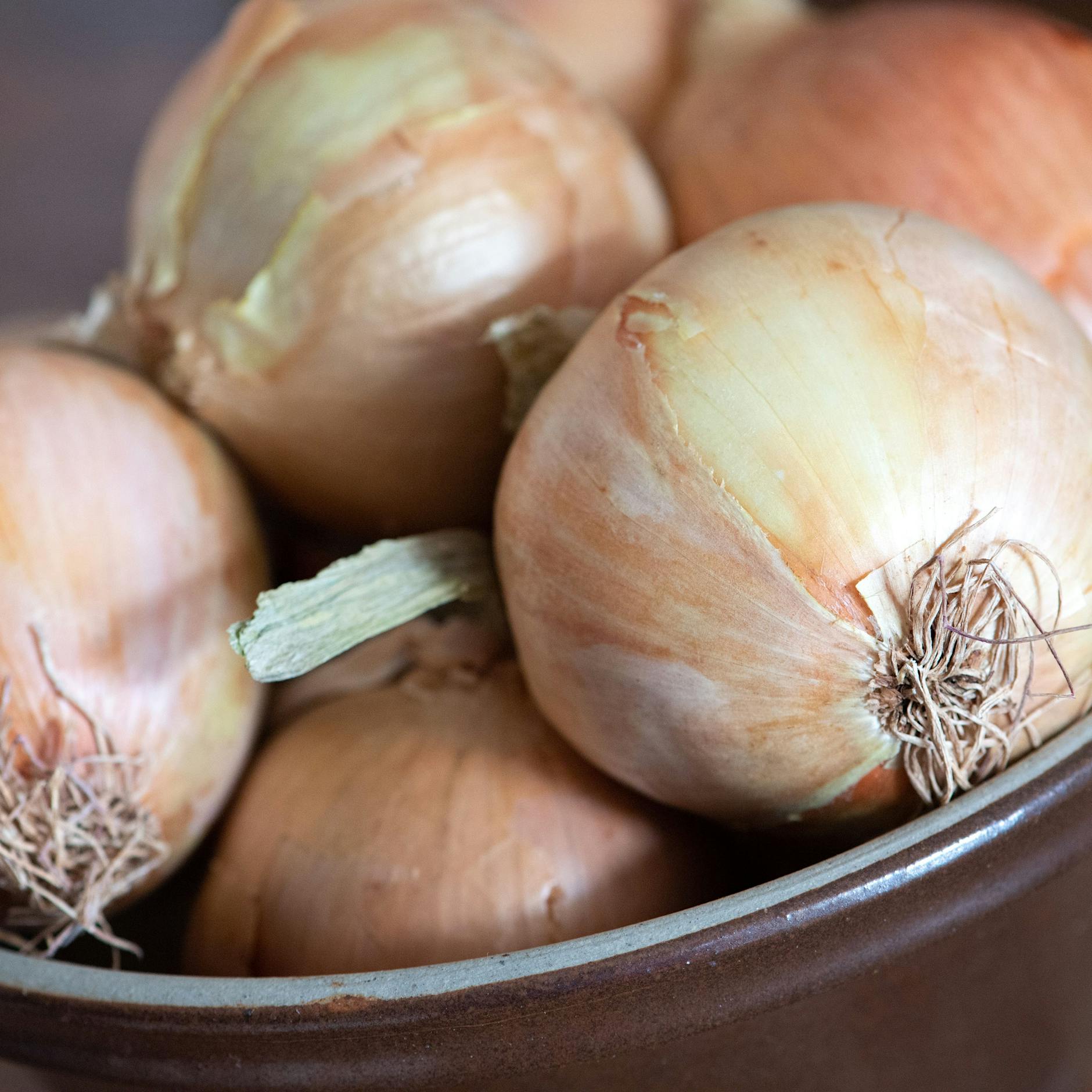 Viel Gas im Darm – wann führen Zwiebeln zu Blähungen?