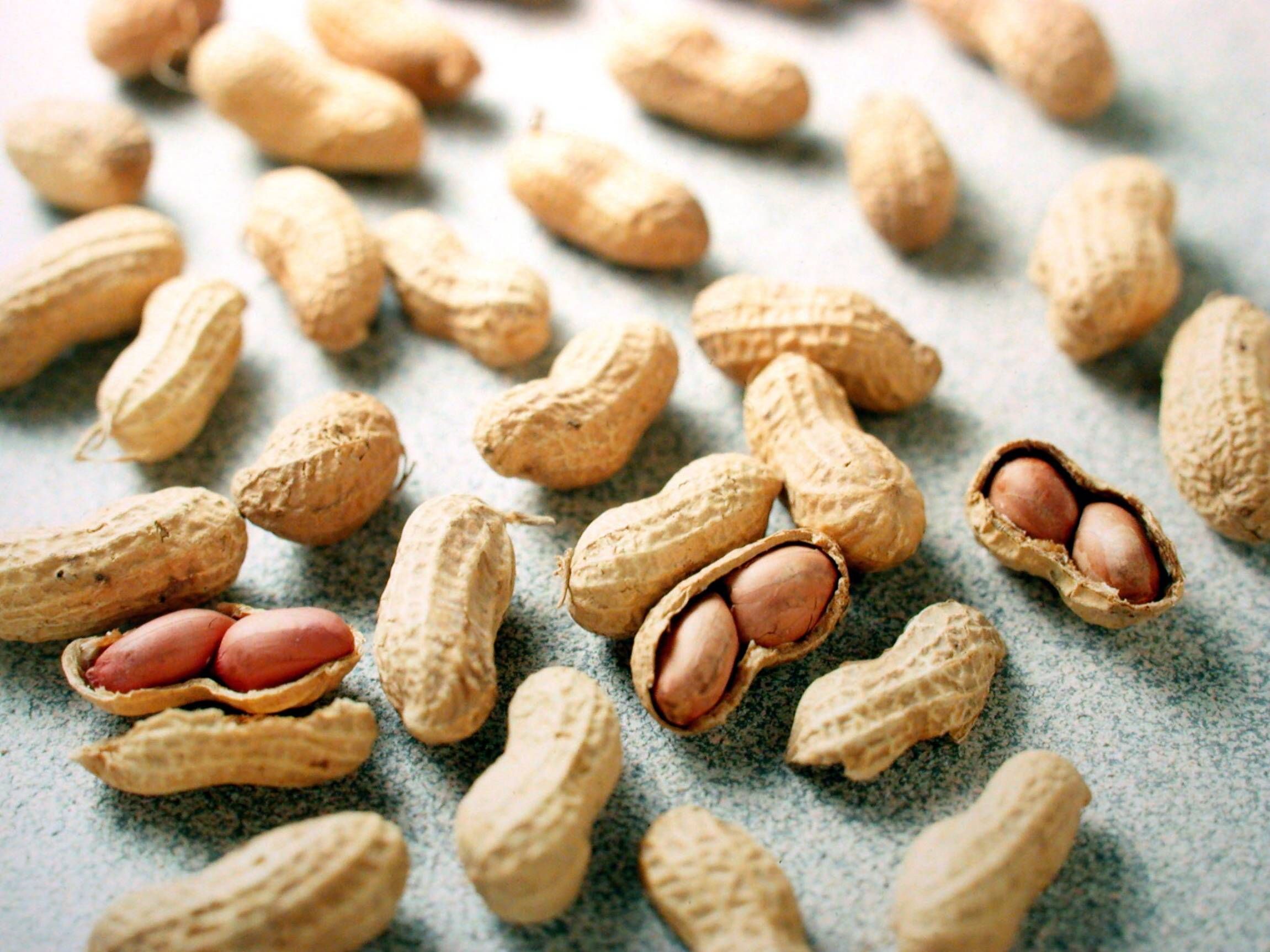 Image - Erdnussallergie bei Kindern vorbeugen? Dann sollten sie regelmäßig Erdnüsse essen!