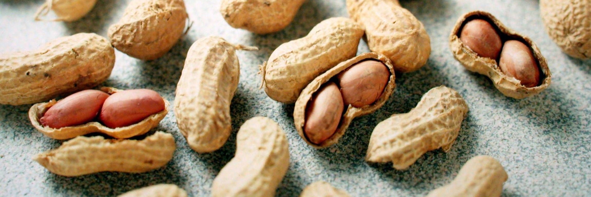 Einer neuen US-Studie zufolge kann die Aufnahme von Erdnüssen in den Speiseplan von Kleinkindern Allergien gegen Hülsenfrüchte lindern.