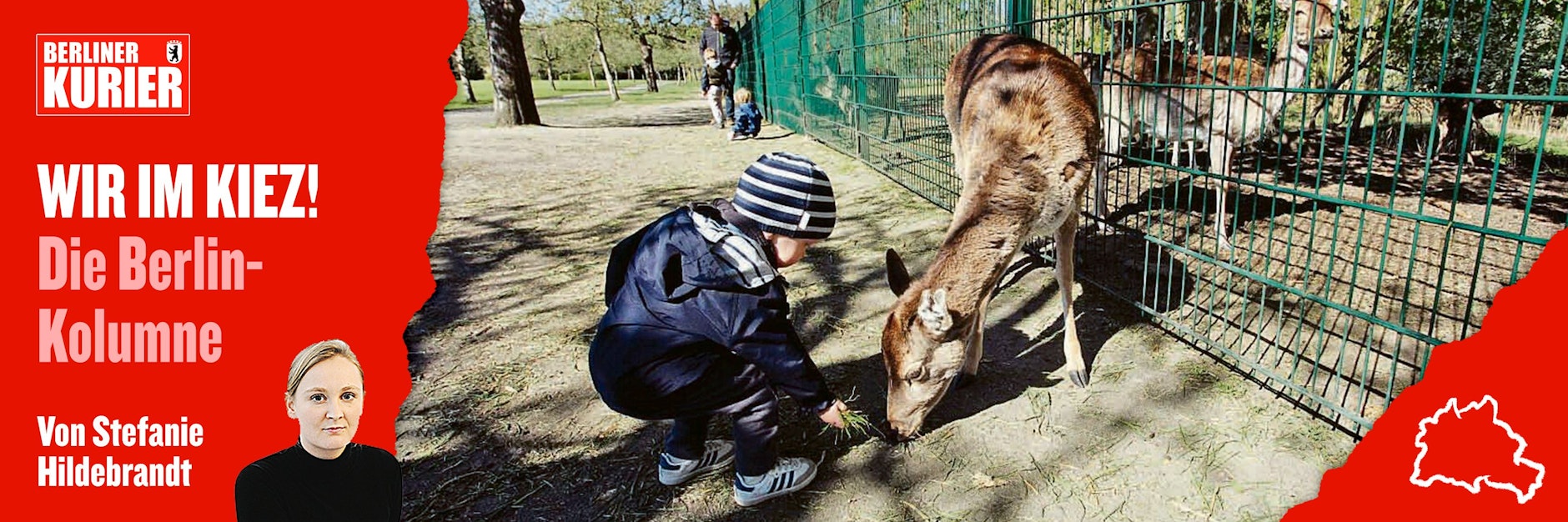 Der Botanische Volkspark Blankenfelde in Pankow: das Wildgehege ist ein beliebter Anziehungspunkt im Park.