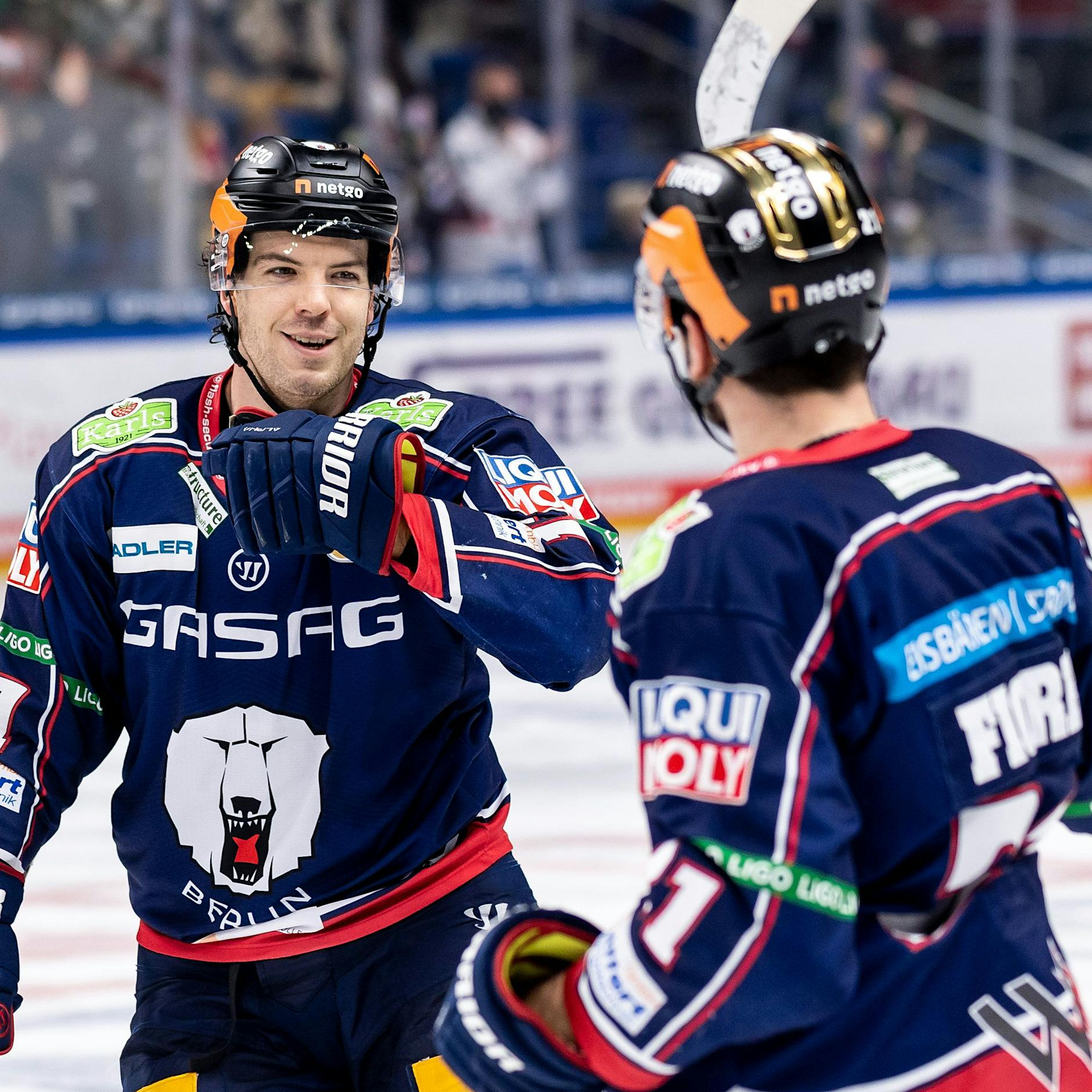 Autsch! Die Eisbären haben ein Top-Problem