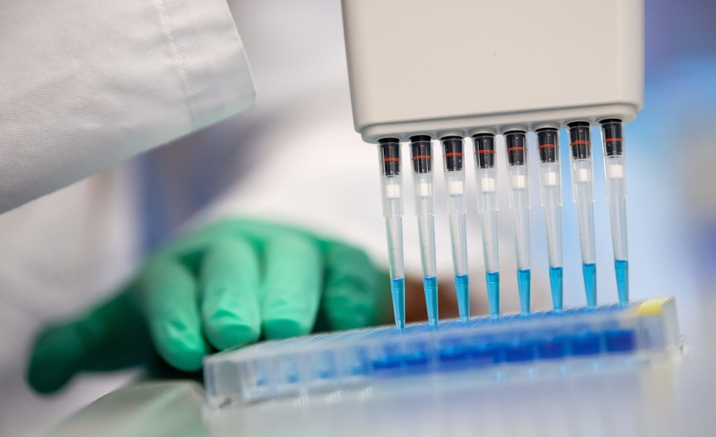PEI-Studie: Antikörper nach Corona-Infektion über 430 Tage nachweisbar