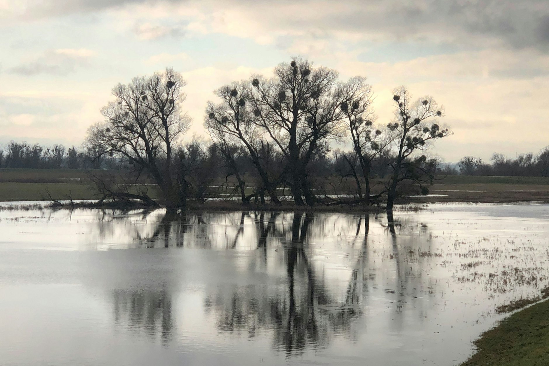 Das Untere Odertal ist der einzige Auennationalpark in Deutschland.