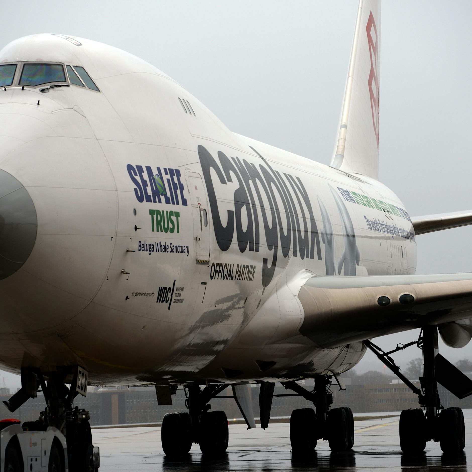 Versteckt im Fahrwerk – „Blinder Passagier“ überlebt mehrstündigen Flug