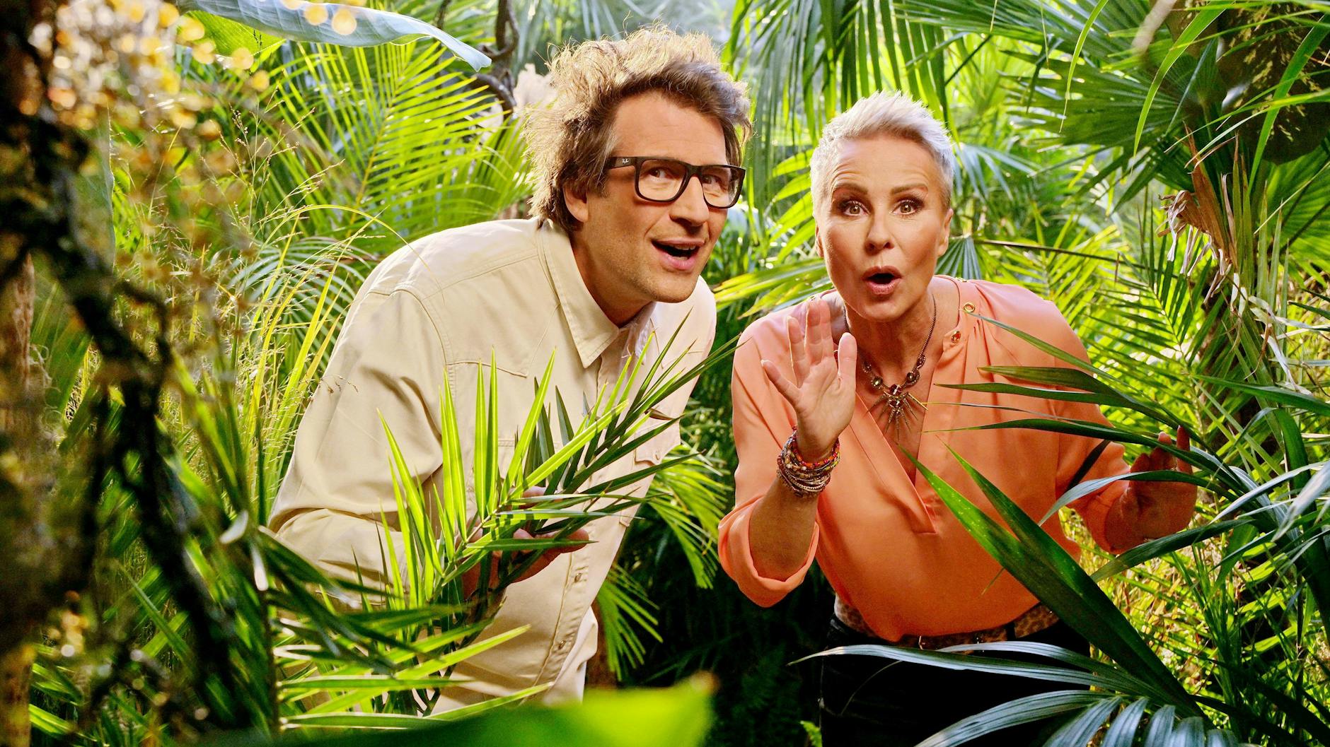 Ein Stück „Fernsehnormalität“ ist zurück: Nach einem Jahr Corona-Pause hat am Freitagabend das RTL-Dschungelcamp begonnen. 