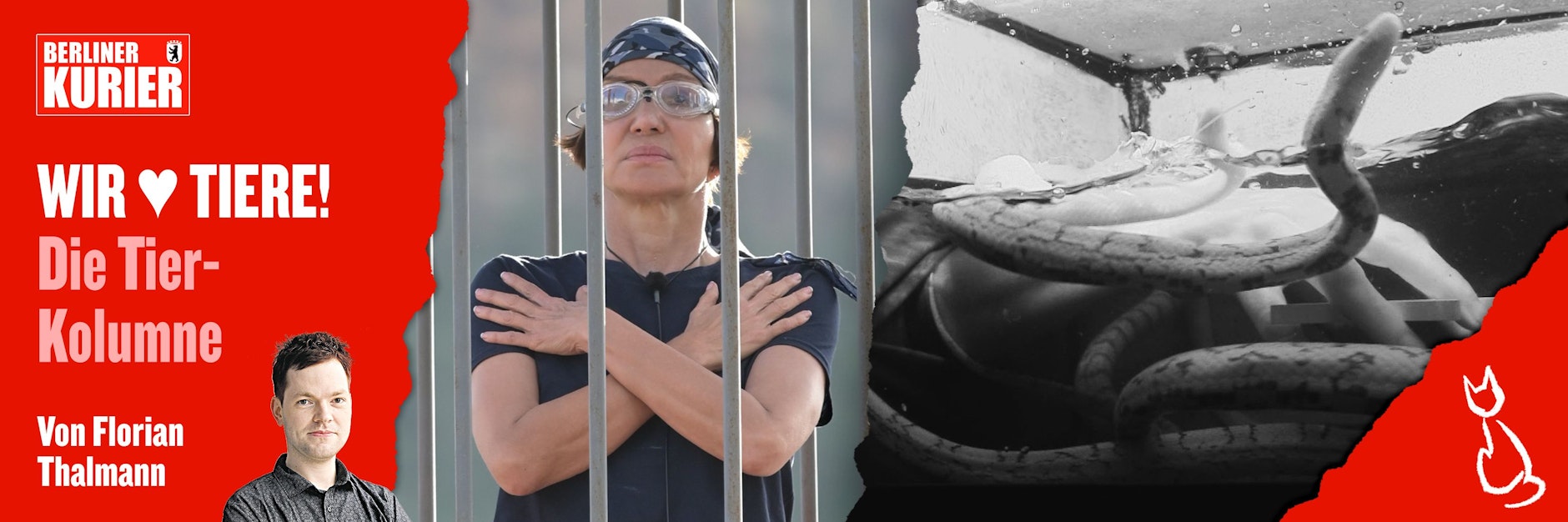 Schauspielerin Anouschka Renzi durfte in ihrer Prüfung unter anderem in einem Becken mit Schlangen wühlen.