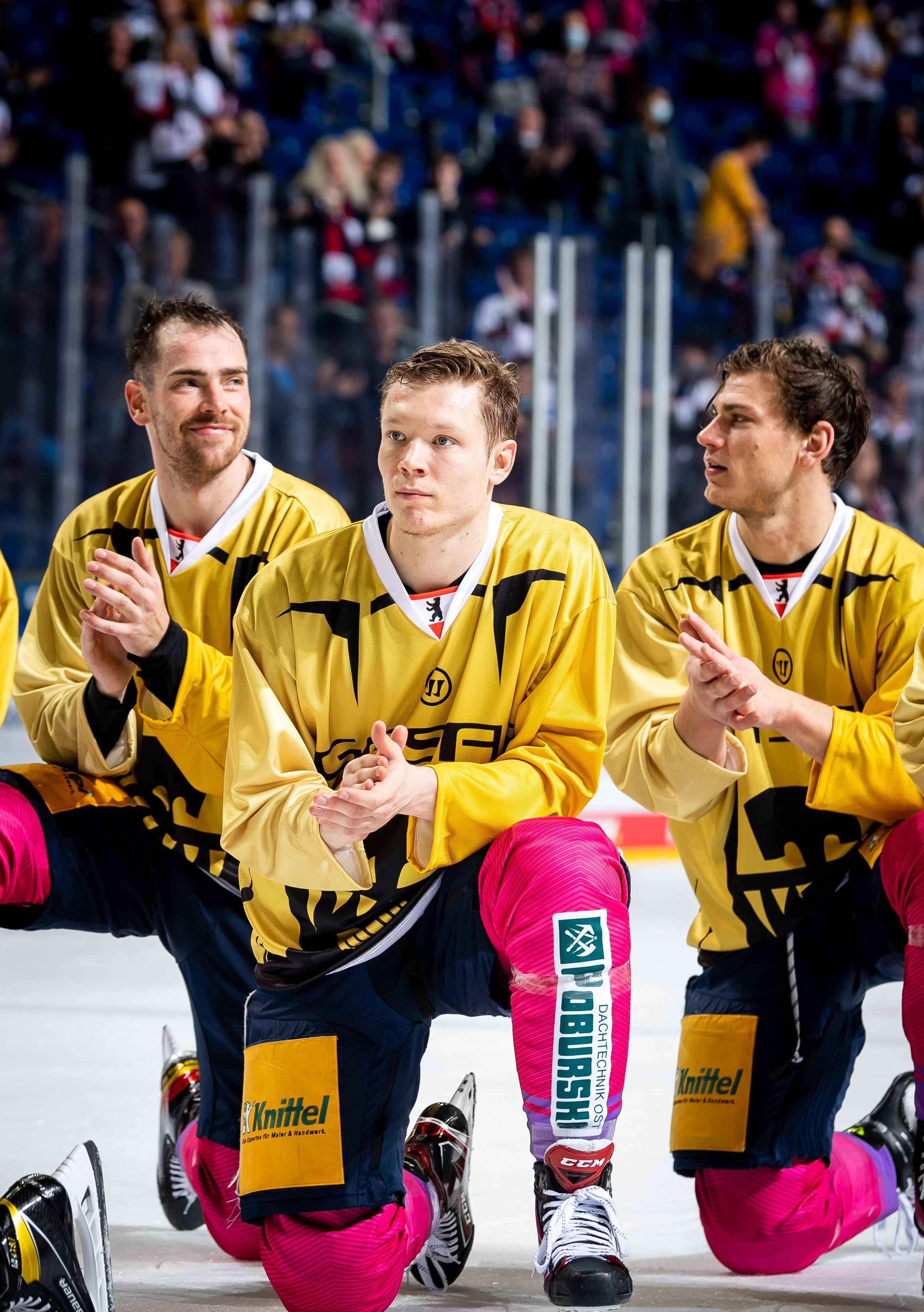 Image - Ab nach China! Diese Eisbären buchen die Olympia-Reise