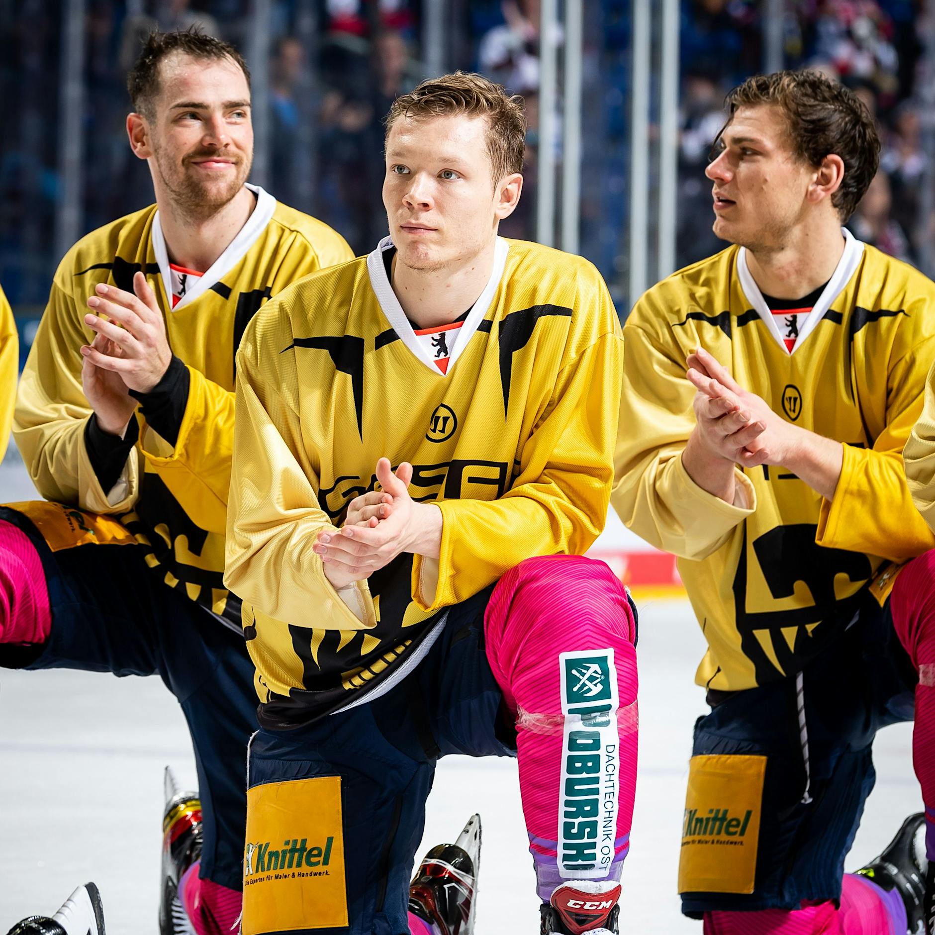 Ab nach China! Diese Eisbären buchen die Olympia-Reise