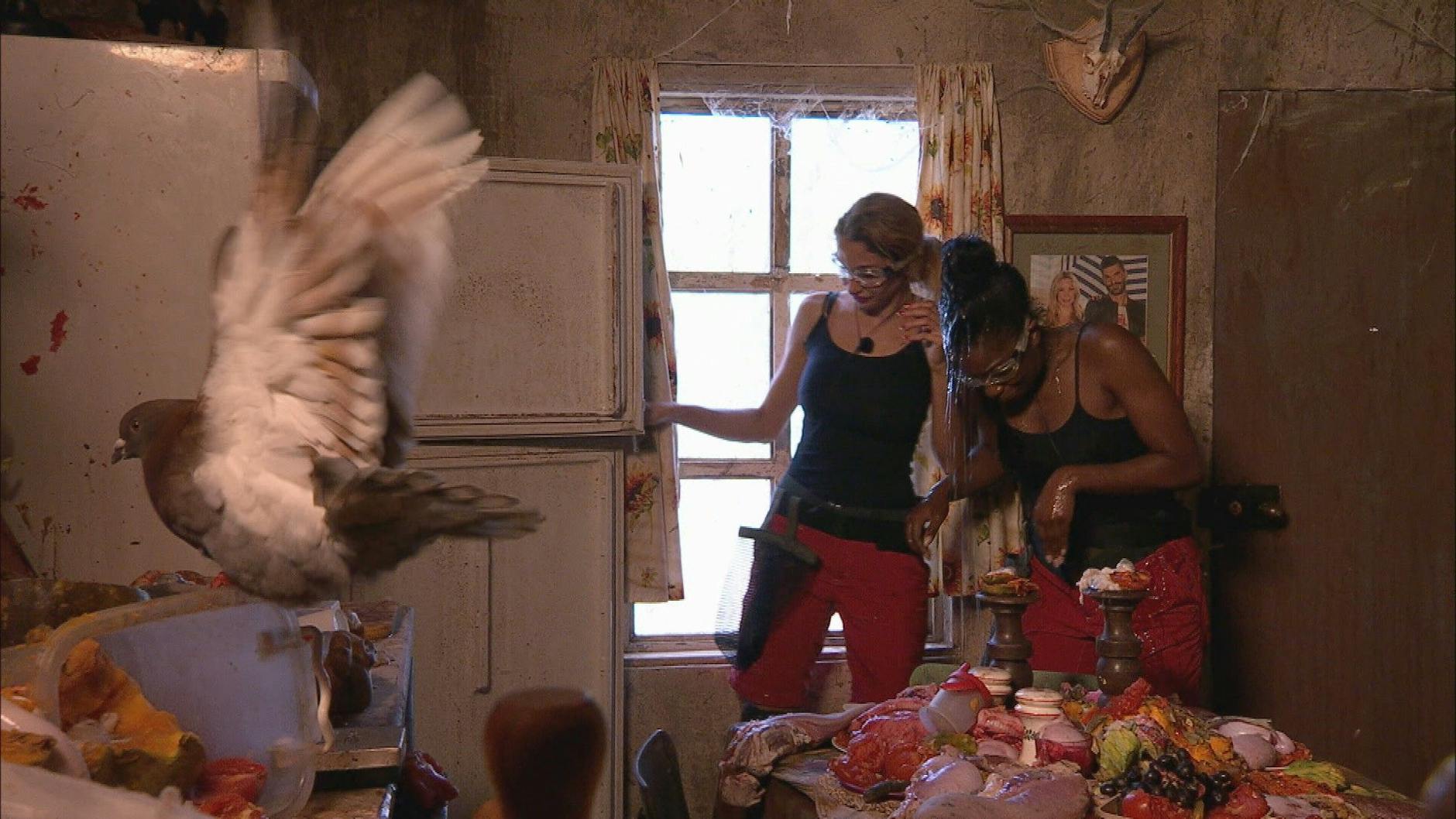 Nicht nur kleine, auch größere Tiere spielen in den Dschungelprüfungen mit.