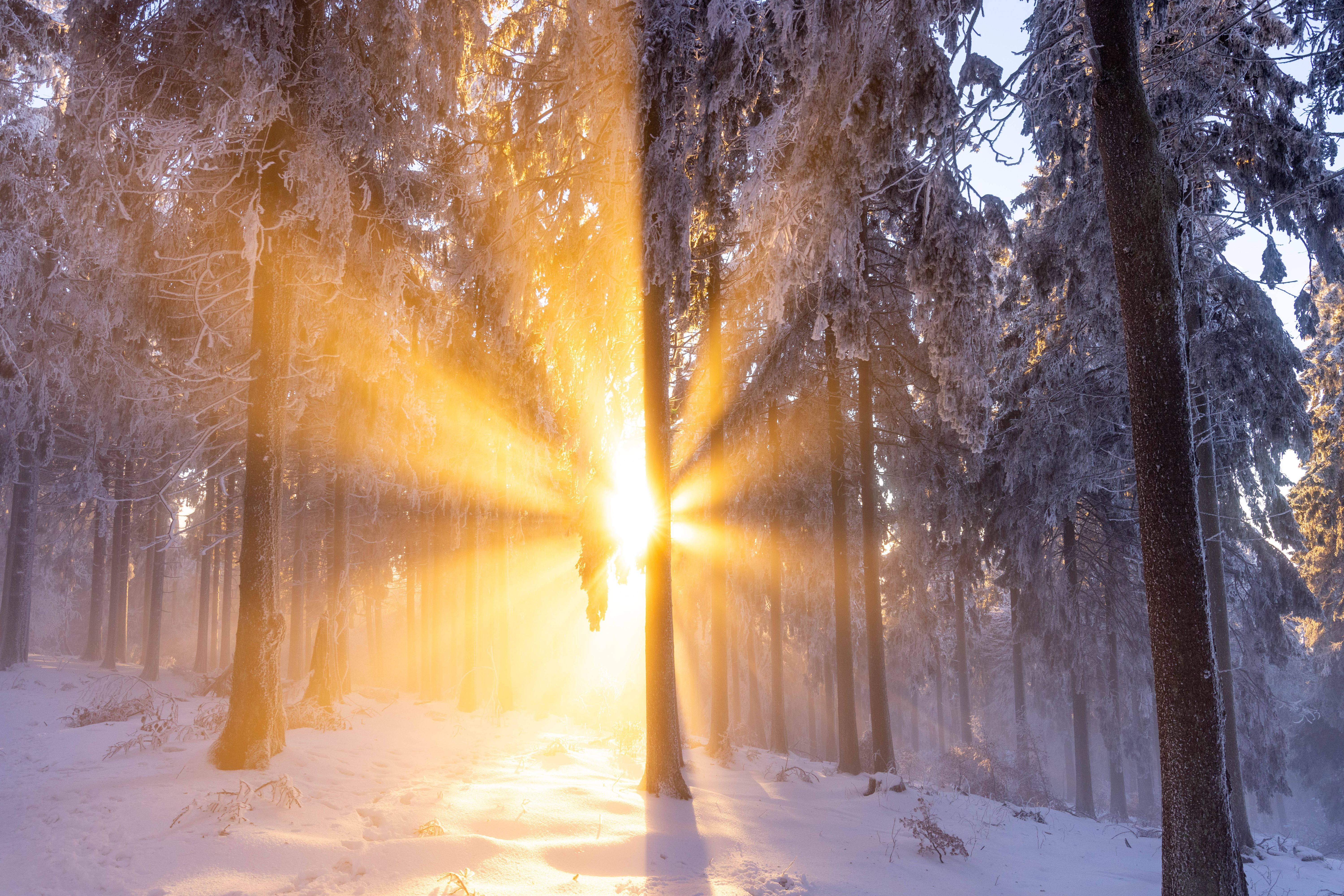 Irrer Jojo-Winter: DIESE Wetterkapriolen erfassen Berlin und Brandenburg zum Wochenende!