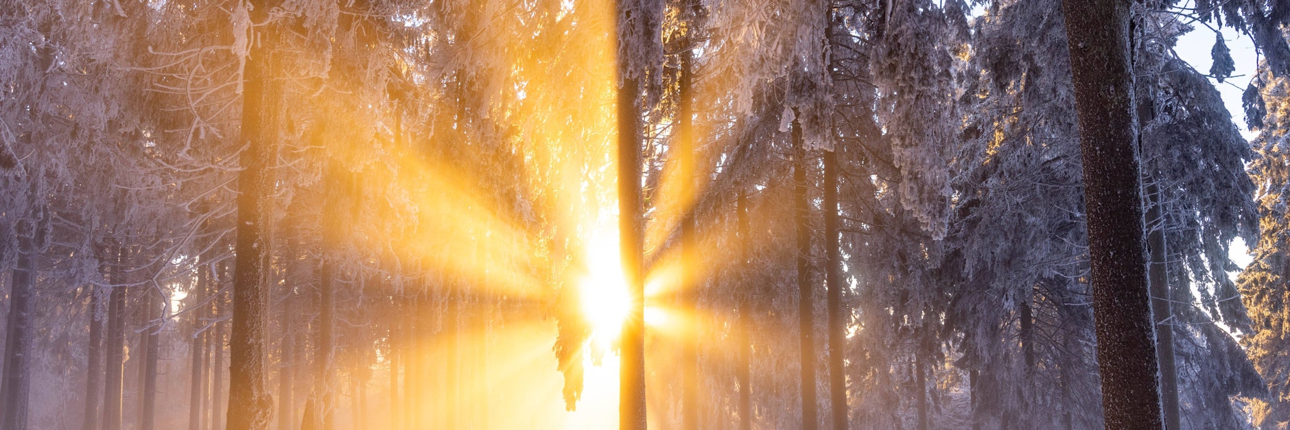 Neuer Schnee kündigt sich zum Monatswechsel an, die Temperaturen fahren Achterbahn.