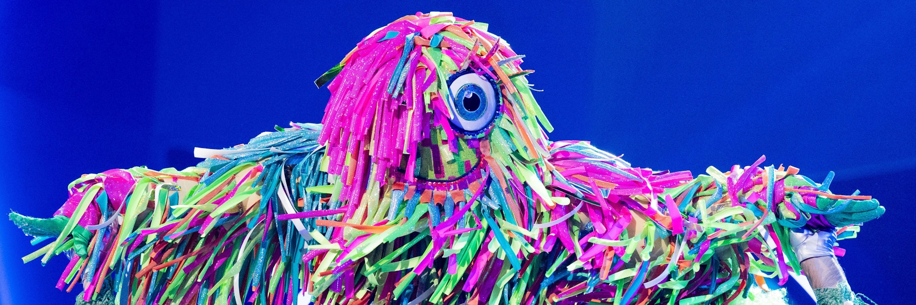 Vom Zottel ist bei „The Masked Dancer“ stets nur ein Auge zu sehen... ein Hinweis darauf, dass der Star im Kostüm auch „Promi Big Brother“ moderiert?