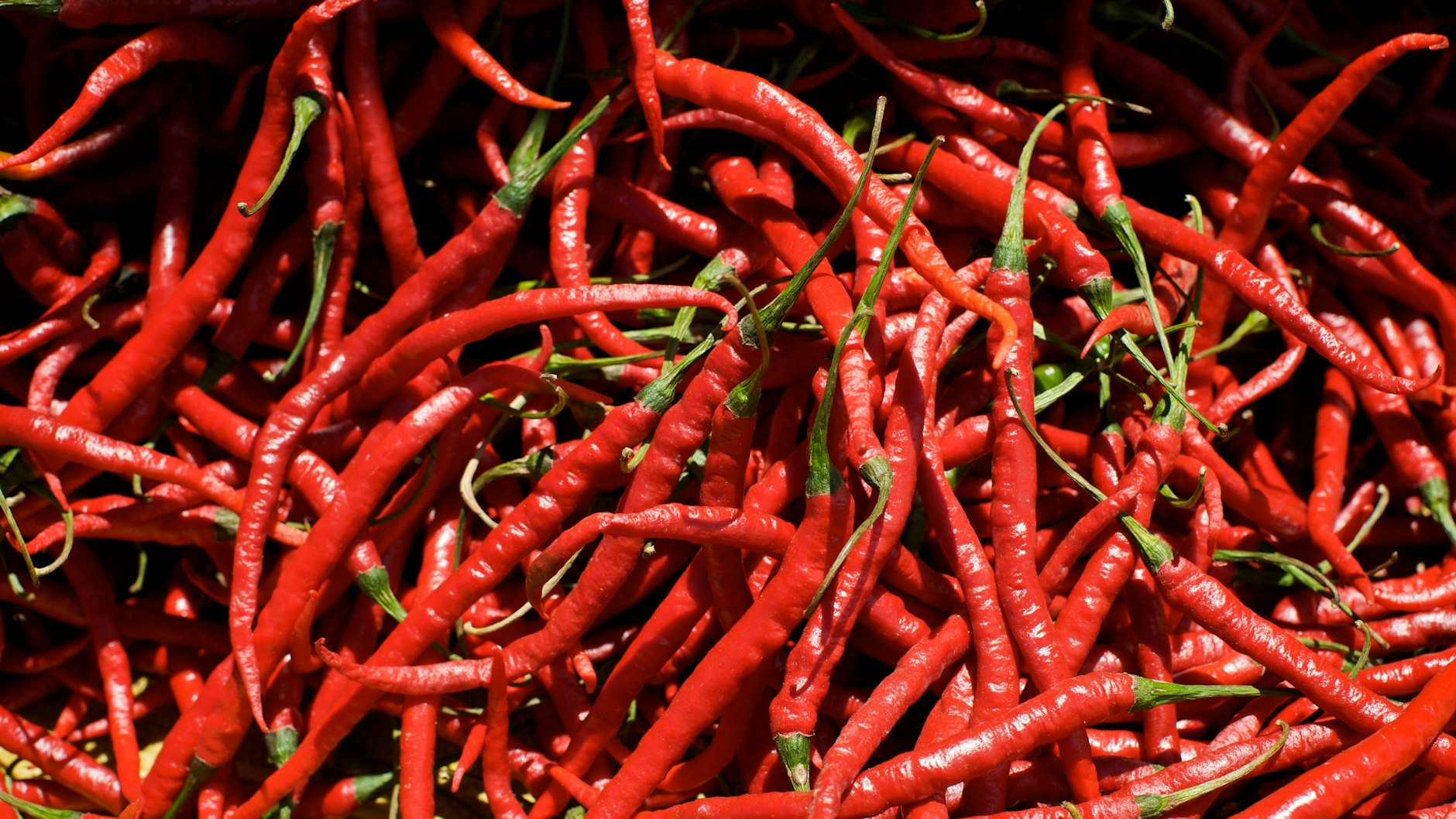 Wer beim Essen zur Chilischote greift, kurbelt den Stoffwechsel an.