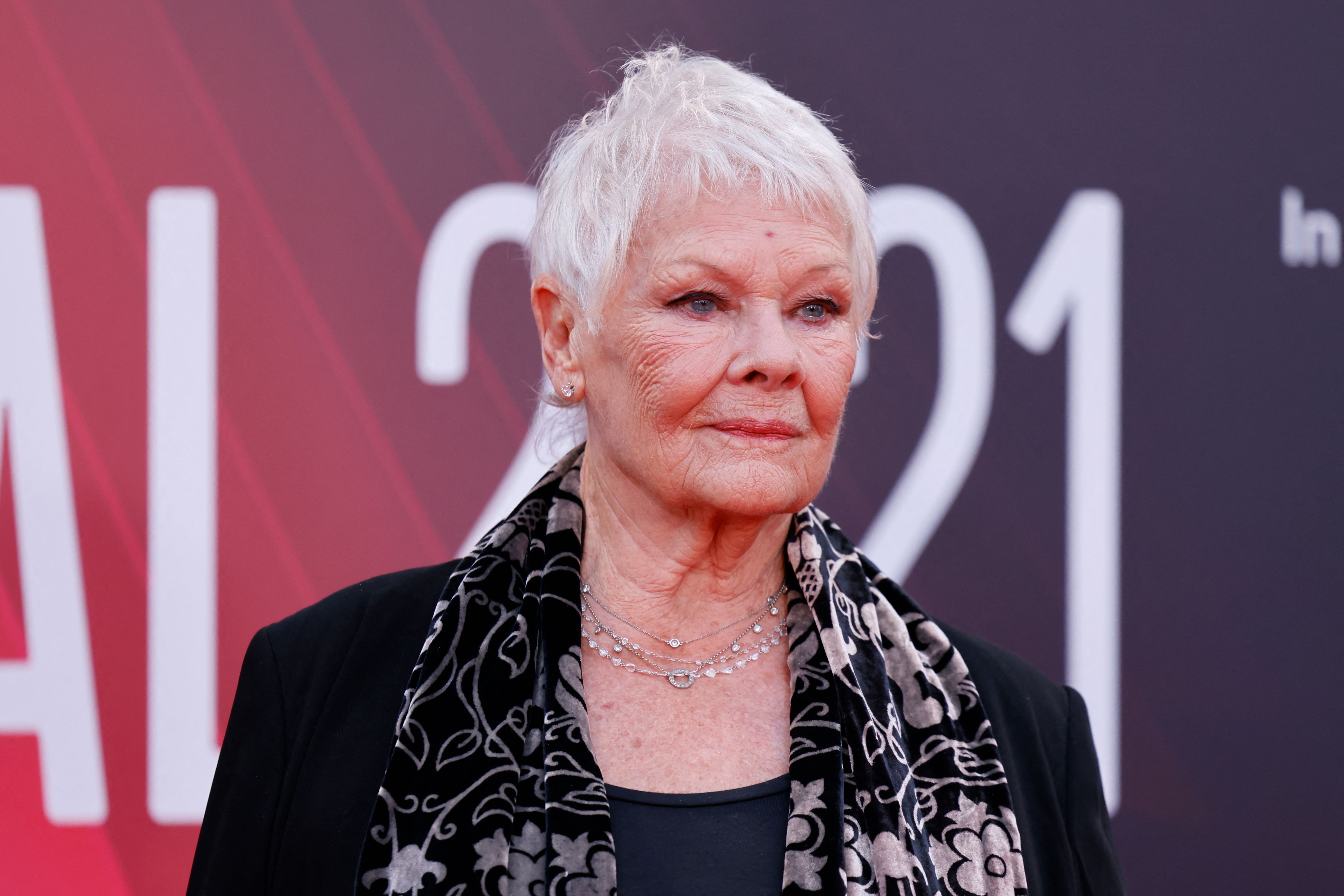 Image - Judi Denchs Papagei: „Völlig nutzlos“ in Notsituationen