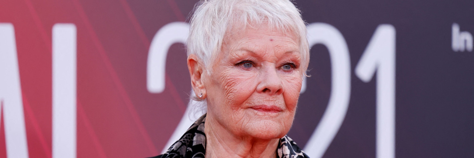 Judi Dench hat einen Papagei als Haustier.