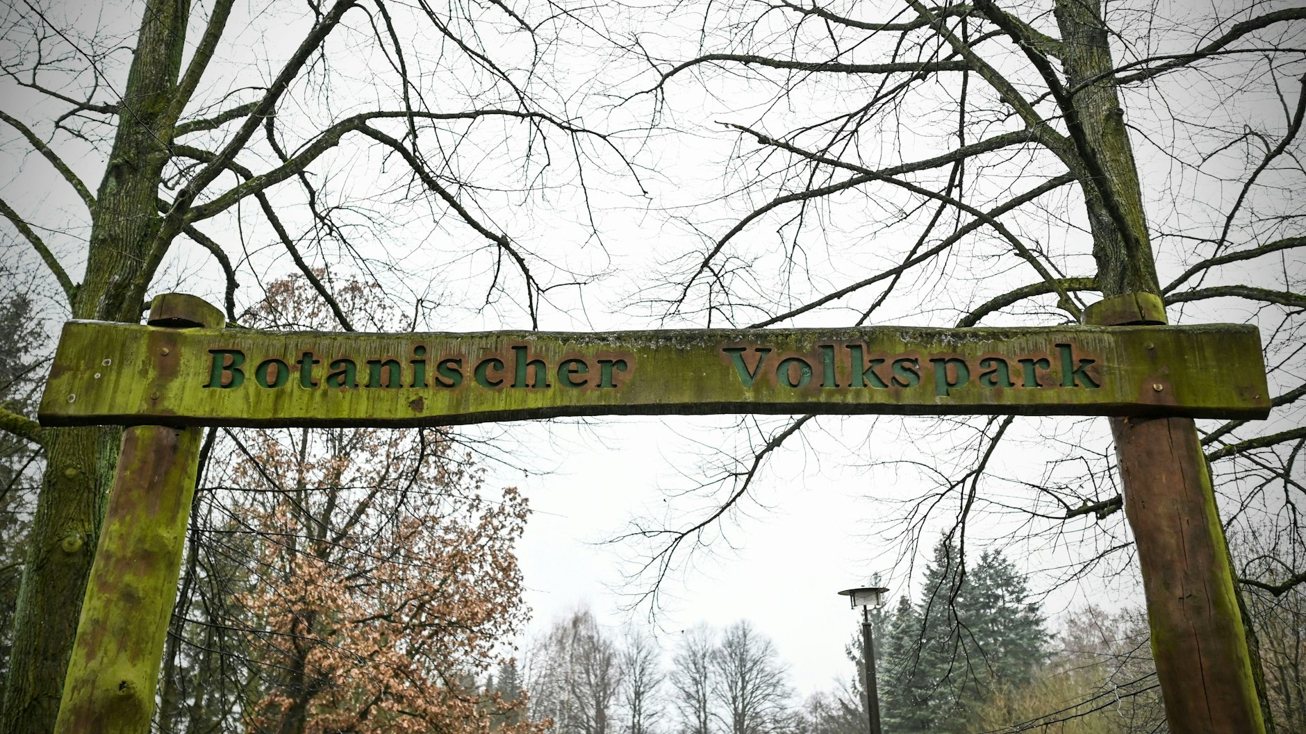 Wie es mit dem Botanischen Garten weiter geht, wird derzeit ausgelotet.