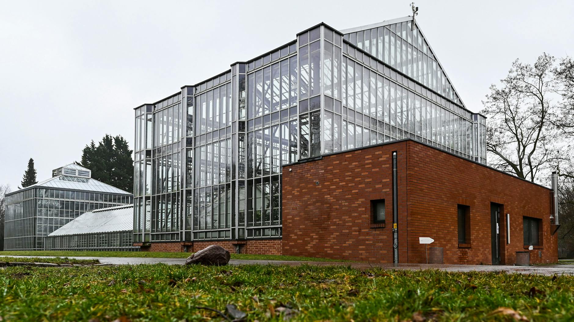 Das Café Mint im Gewächshaus war schon lange ein Provisorium.