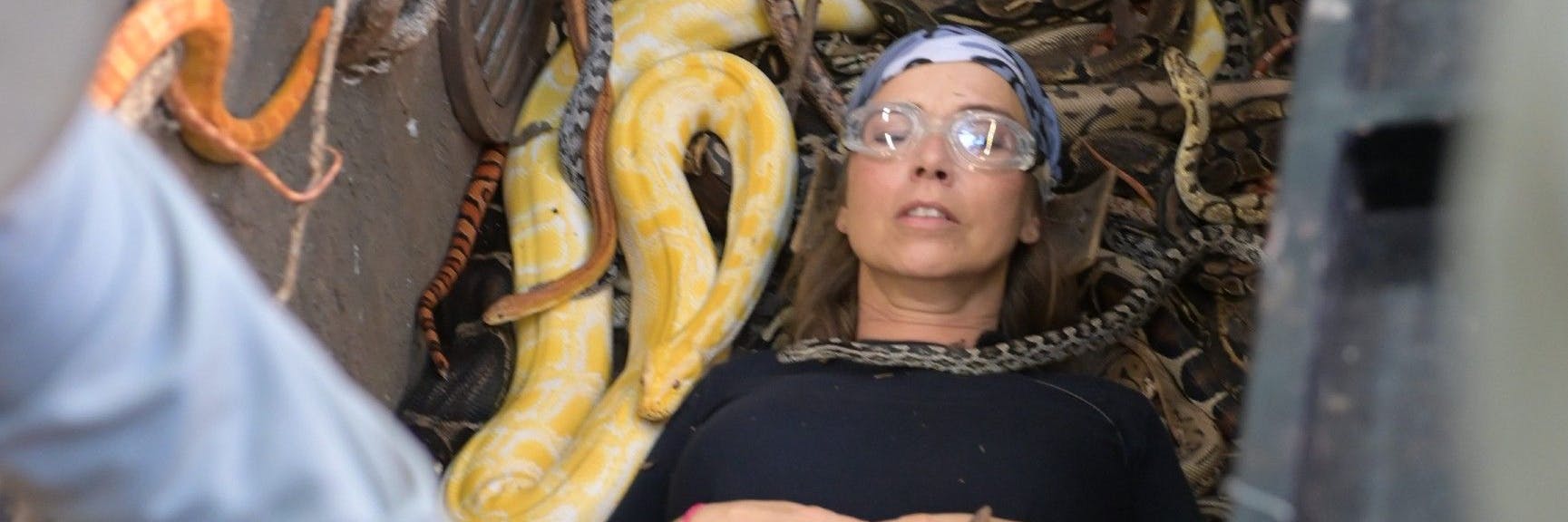 Dschungelcamp, Tag 8: Tina Ruland brillierte in der Dschungelprüfung.