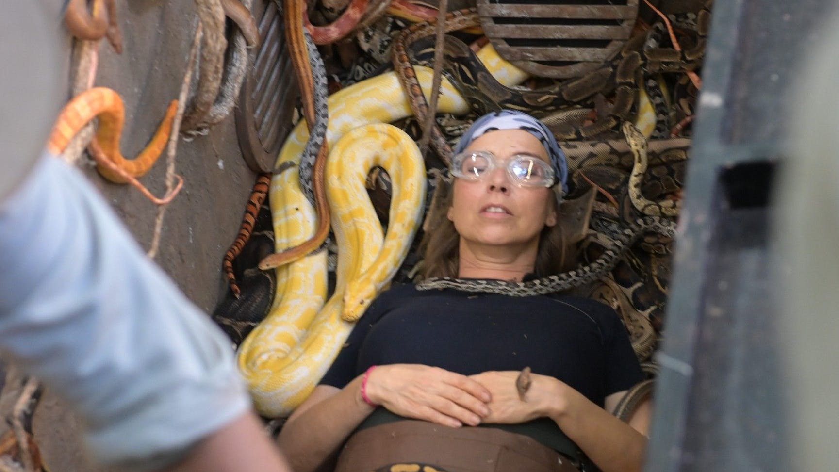 Dschungelcamp, Tag 8: Tina Ruland brillierte in der Dschungelprüfung.